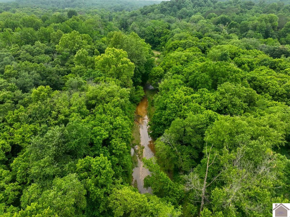 000 State Line Road East, Hazel, KY 42049 Listing Photo  8