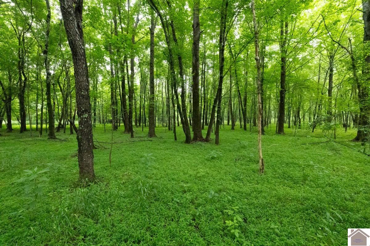000 State Line Road East, Hazel, KY 42049 Listing Photo  9