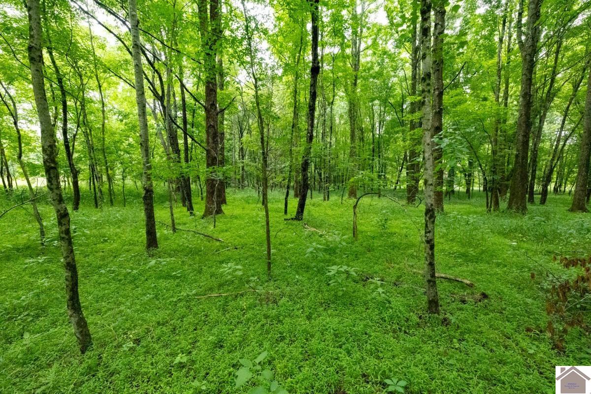 000 State Line Road East, Hazel, KY 42049 Listing Photo  10