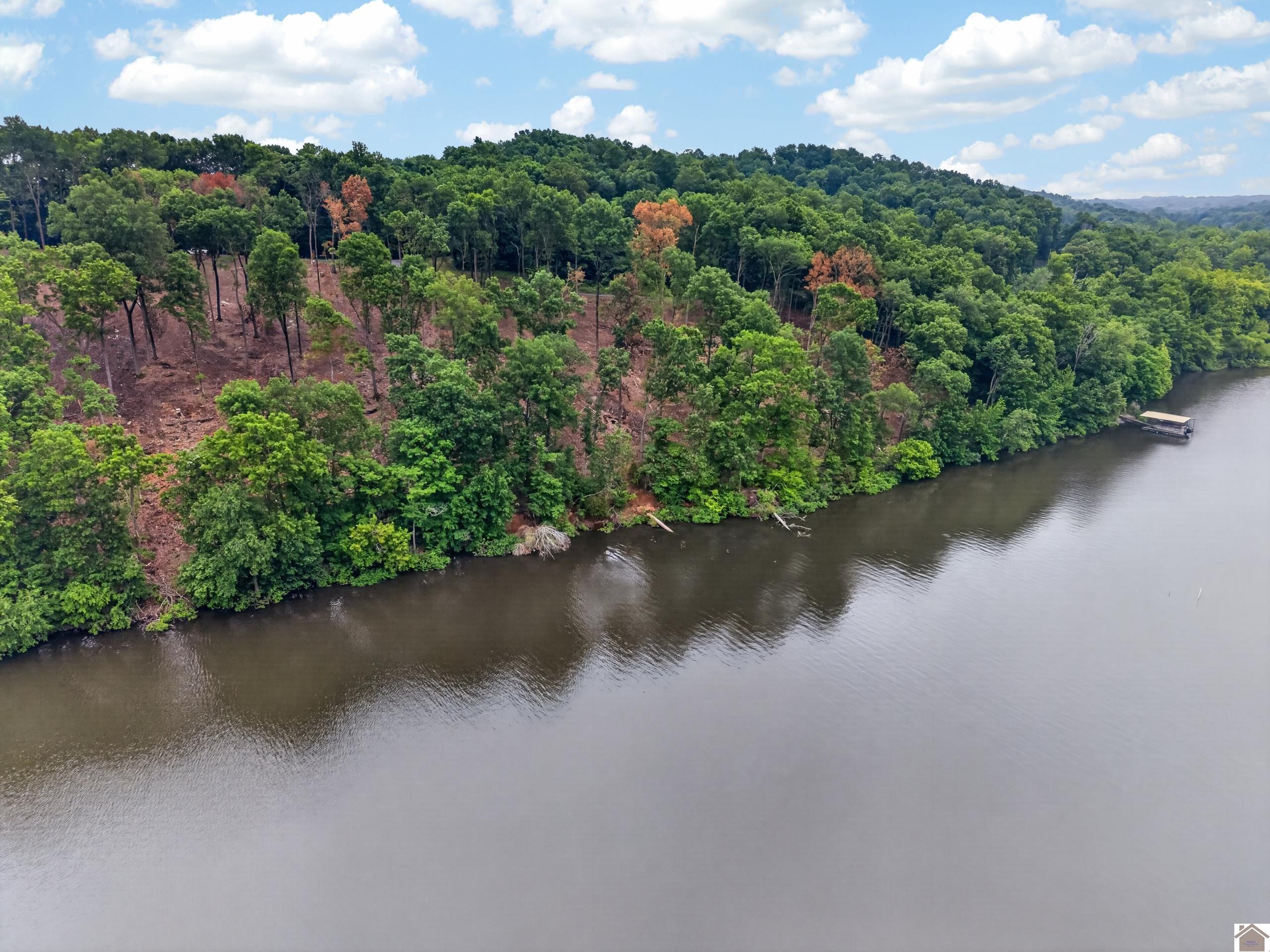 000 Elwood Road Lot #14, Eddyville, KY 42038 Listing Photo  1