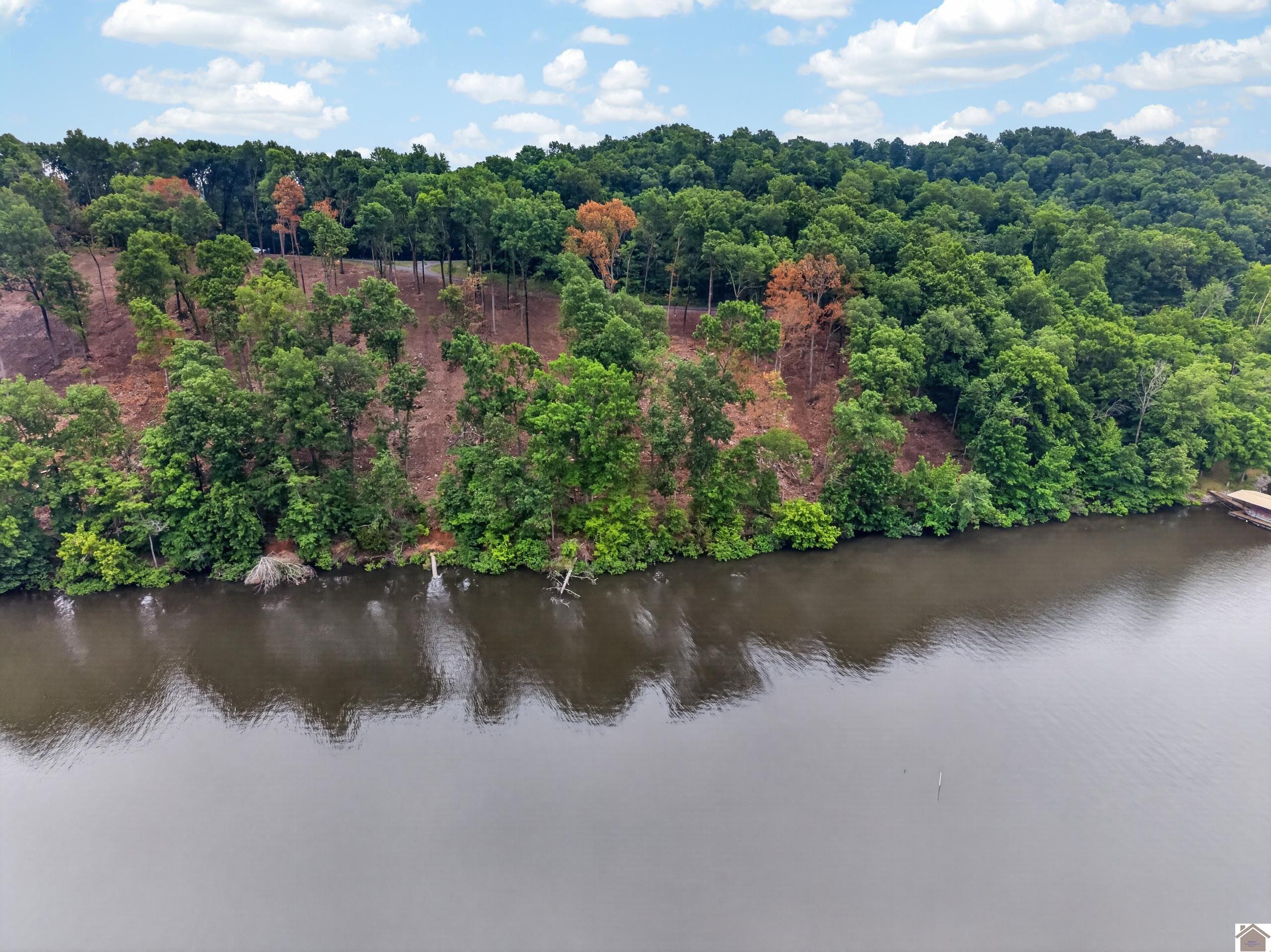 000 Elwood Road Lot #11, Eddyville, KY 42038 Listing Photo  1