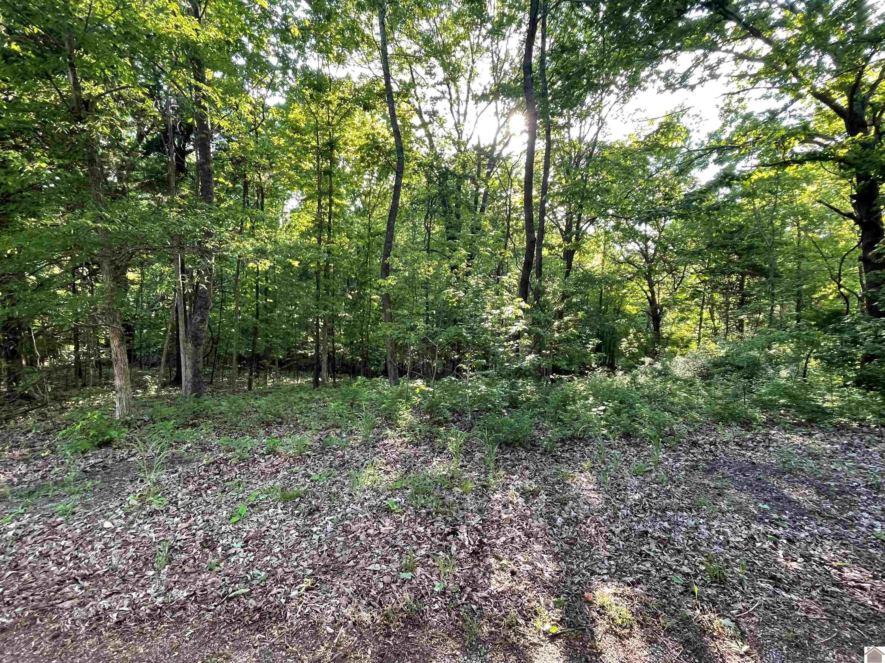Lots14x,15x,16x Pines Circle, Cadiz, KY 42211 Listing Photo  1