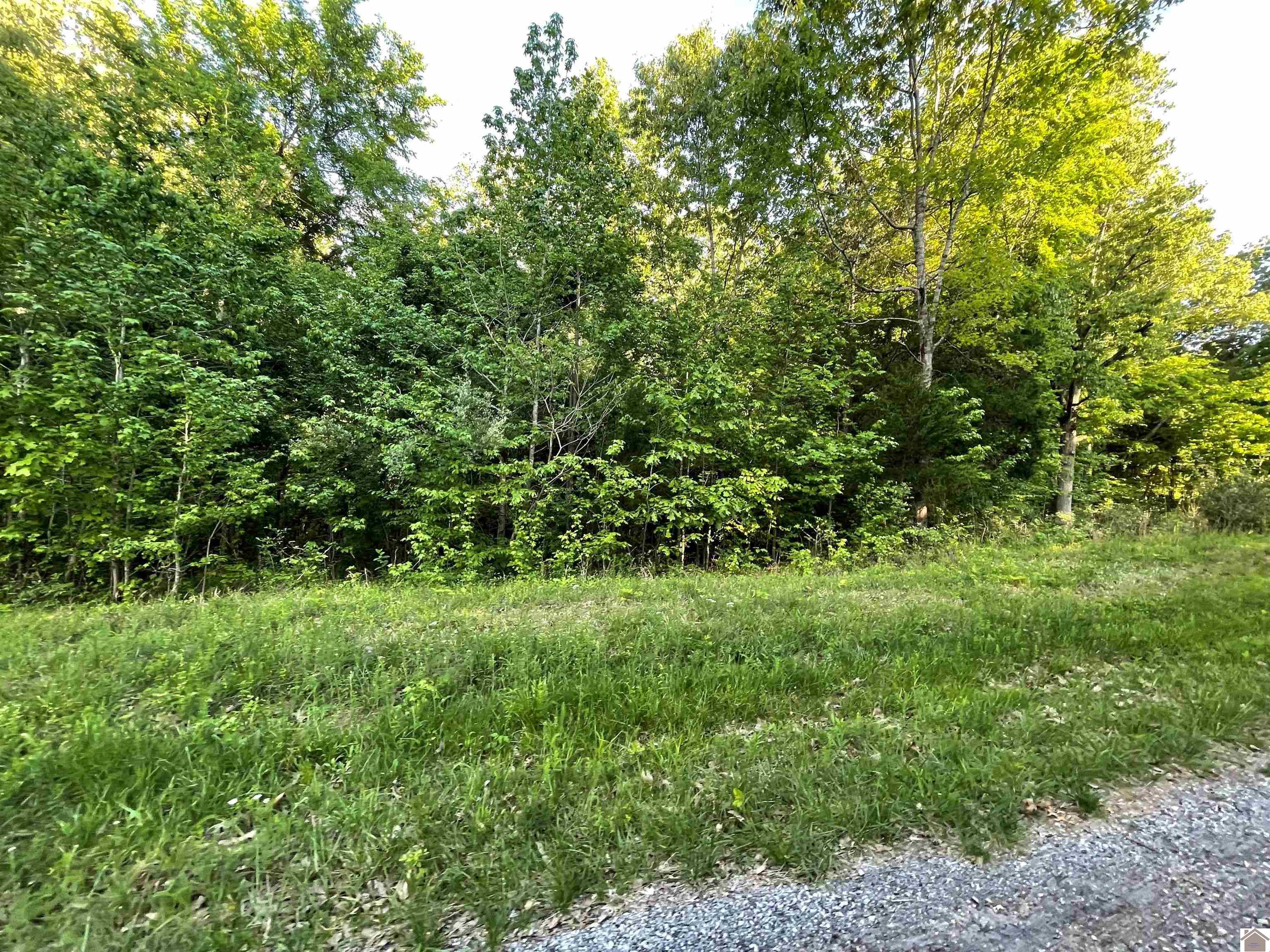 Lots 1X,2X,3X Pines Circle, Cadiz, KY 42211 Listing Photo  1