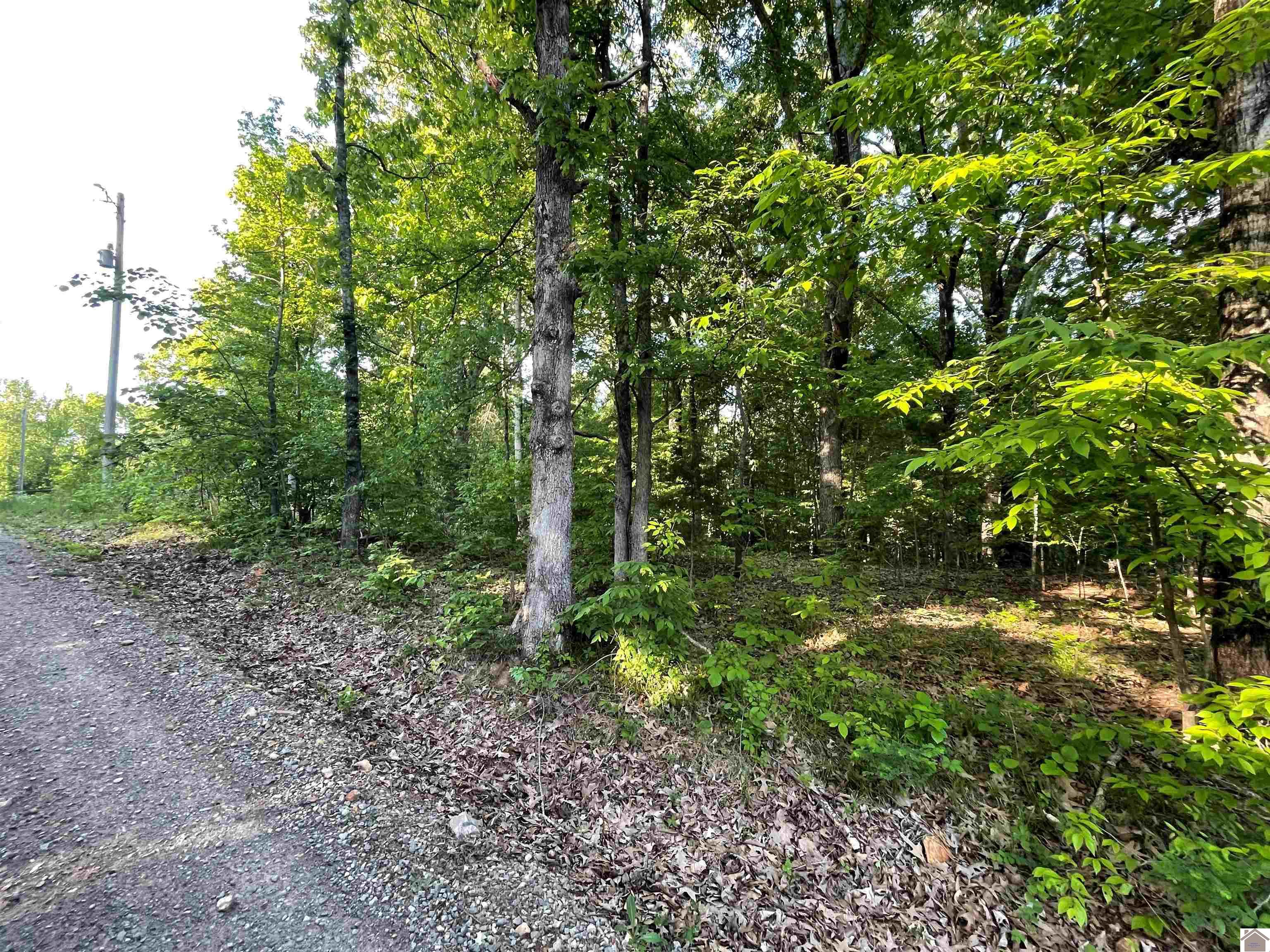 Lots 4X, 5X, 6X Pines Circle, Cadiz, KY 42211 Listing Photo  1