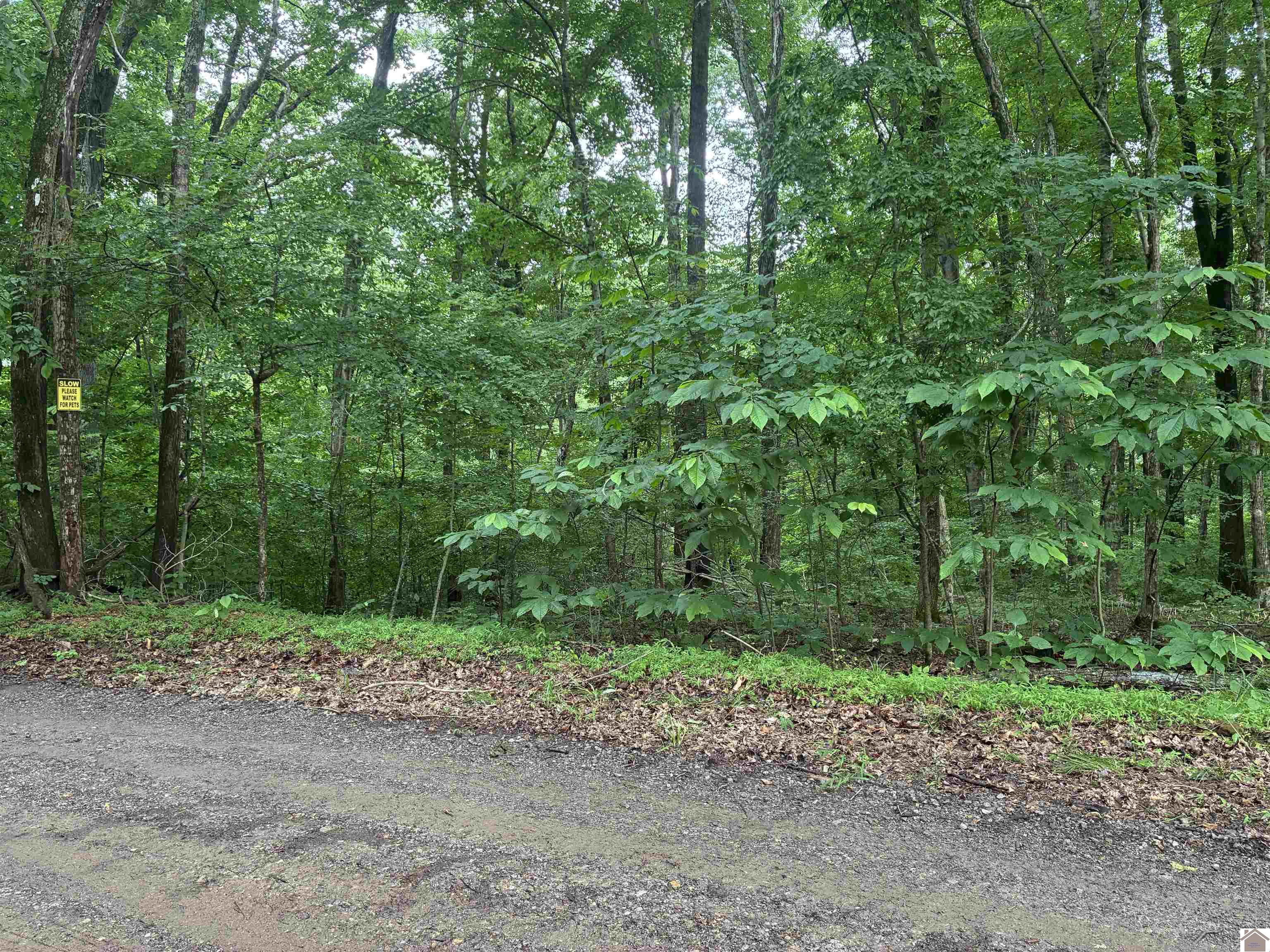 000 Redwood Dr, Cadiz, KY 42211 Listing Photo  1