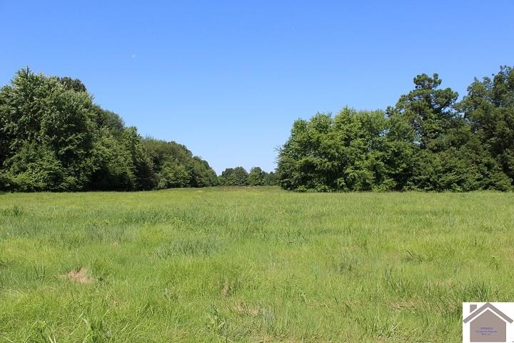 1511 Cuba RD, Mayfield, KY 42066 Listing Photo  1