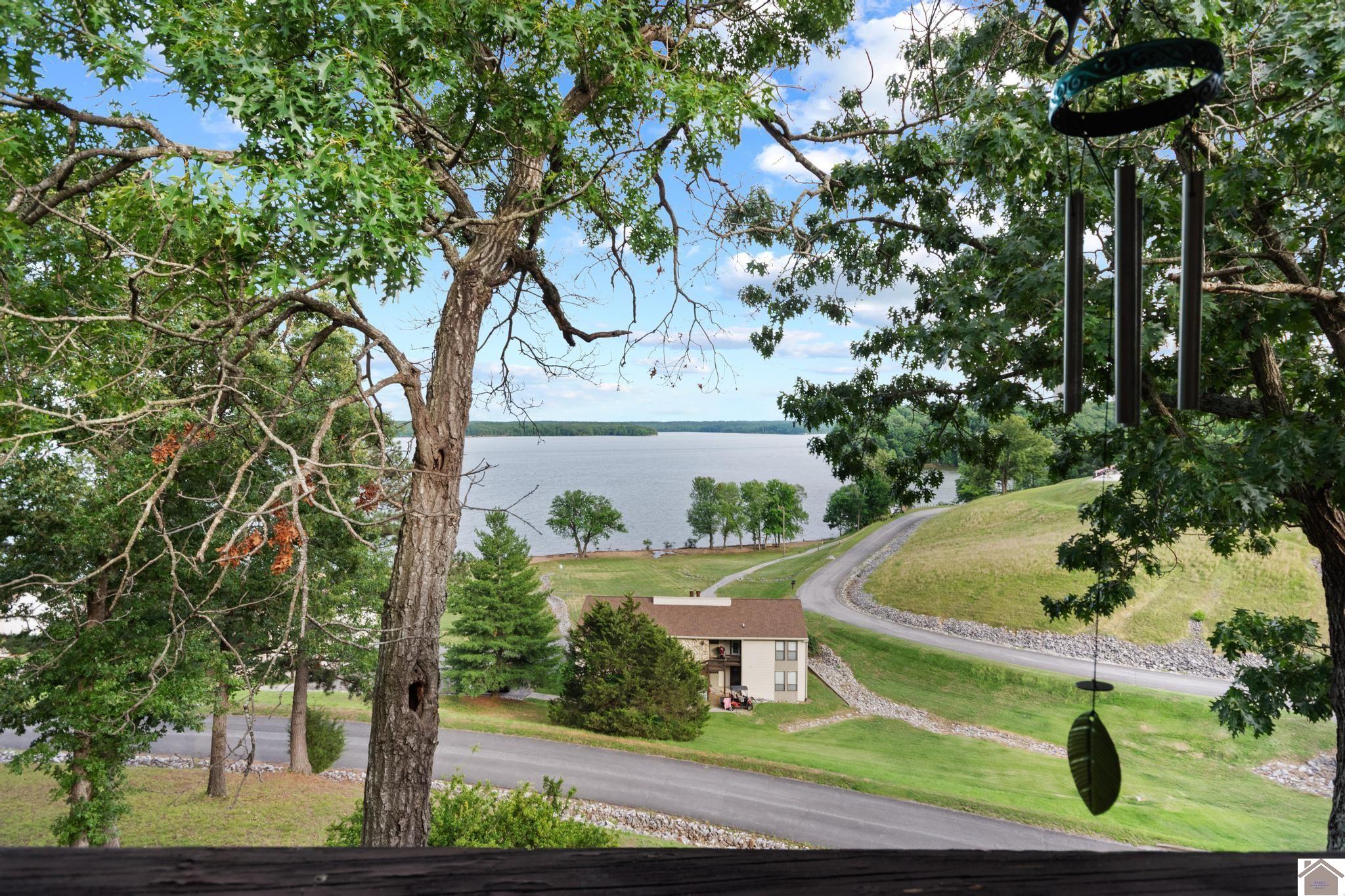 328 Champion Hills Road Unit 17B, Kuttawa, KY 42055 Listing Photo  29