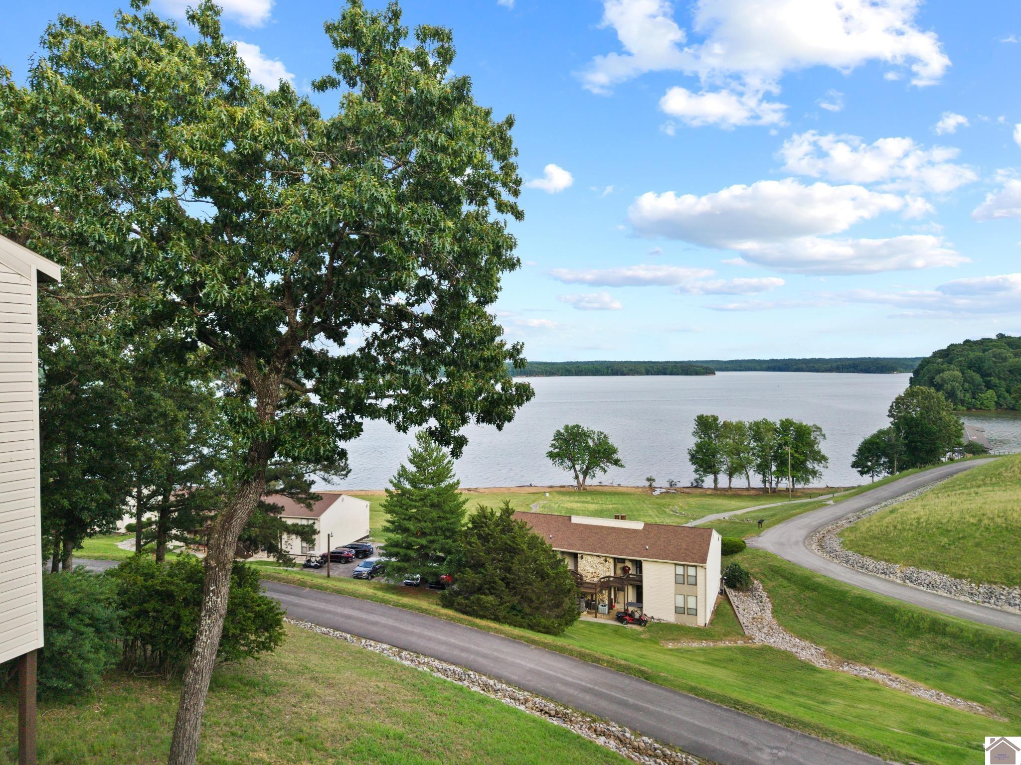 328 Champion Hills Road Unit 17B, Kuttawa, KY 42055 Listing Photo  35
