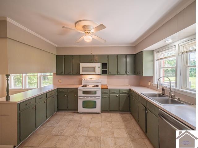 893 Peach Orchard Road, Murray, KY 42071 Listing Photo  4