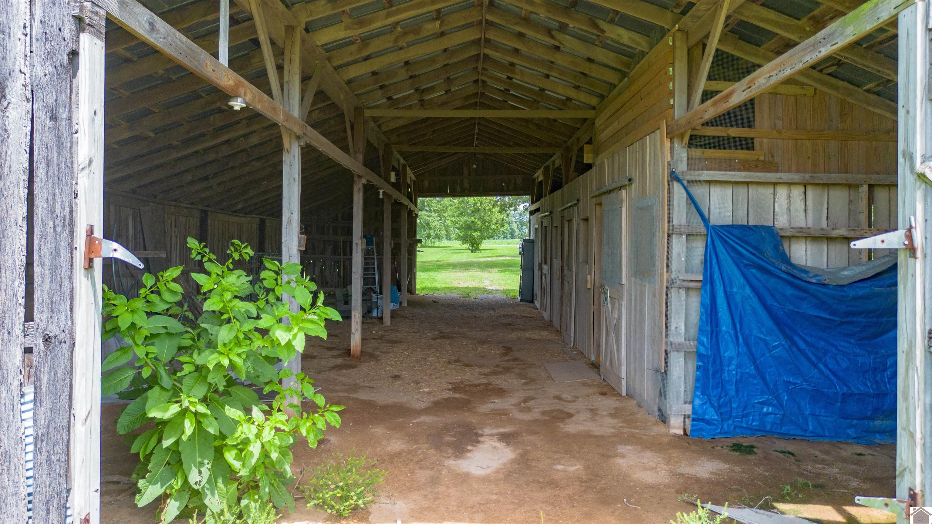 893 Peach Orchard Road, Murray, KY 42071 Listing Photo  41