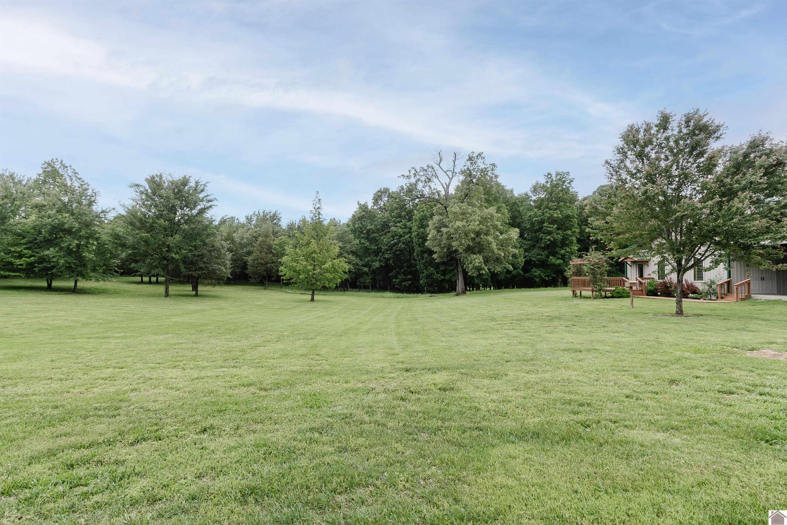 1430 Spence Chapel Road, Mayfield, KY 42066 Listing Photo  41