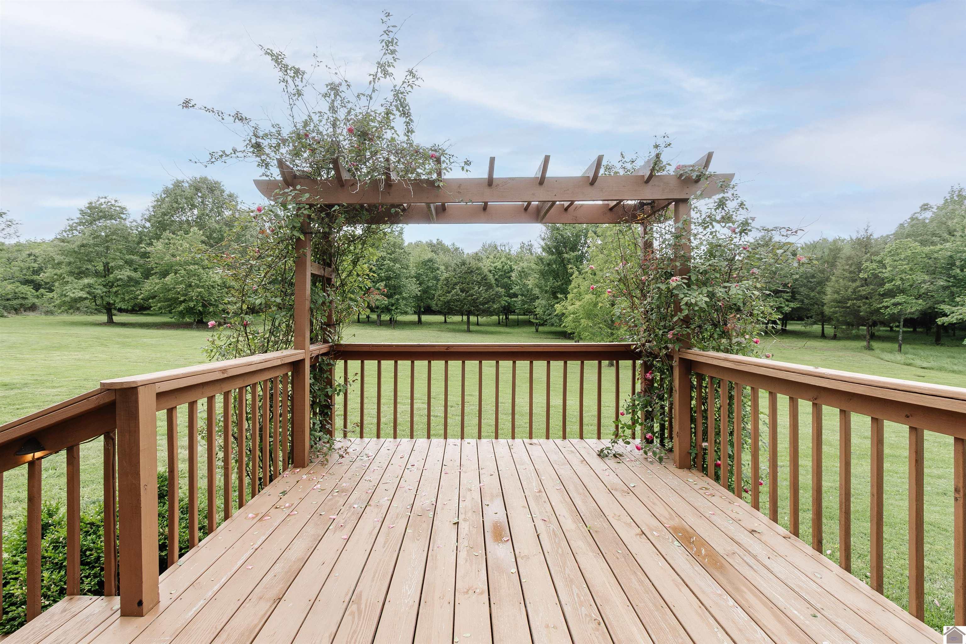 1430 Spence Chapel Road, Mayfield, KY 42066 Listing Photo  44
