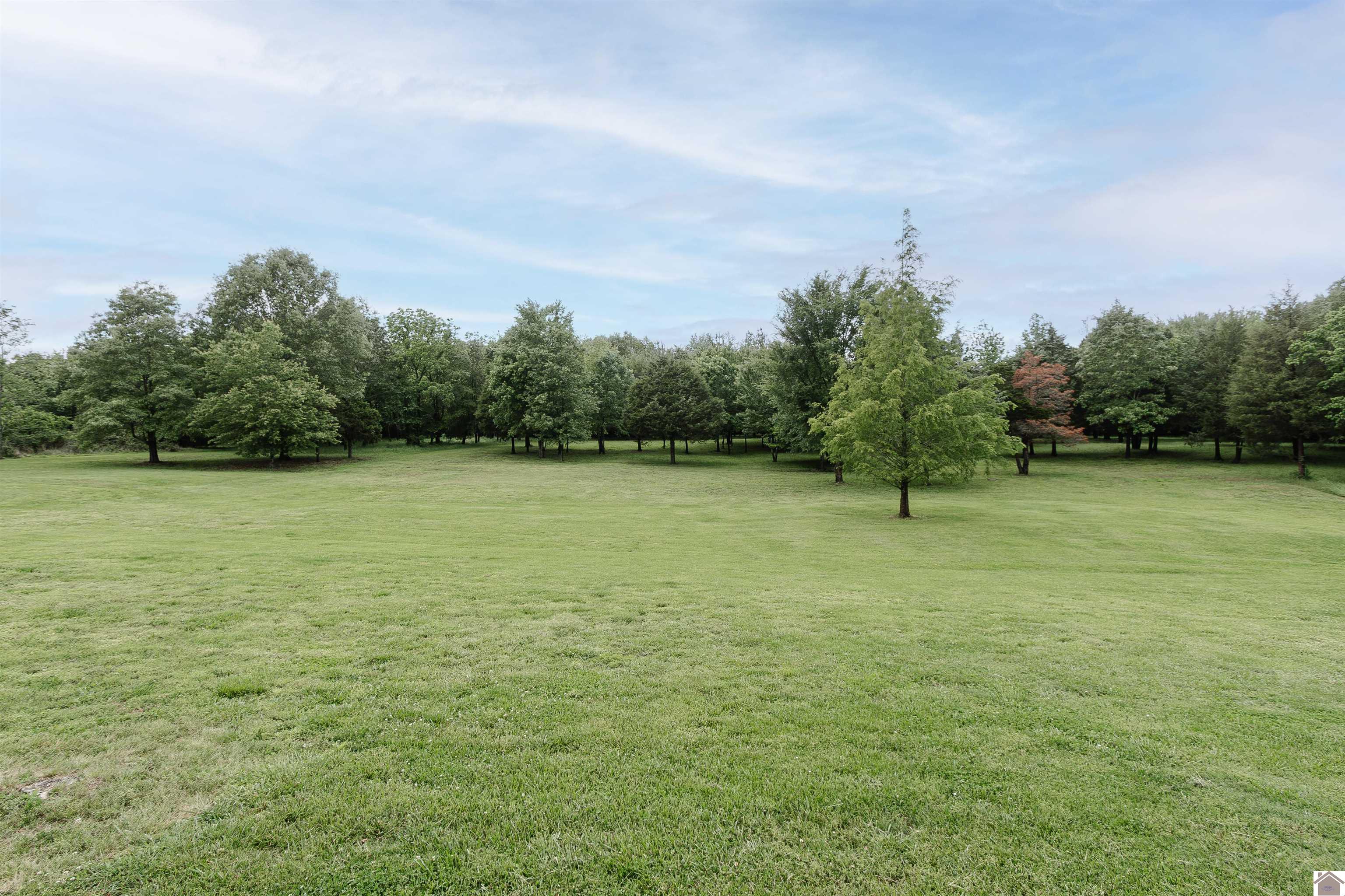 1430 Spence Chapel Road, Mayfield, KY 42066 Listing Photo  45