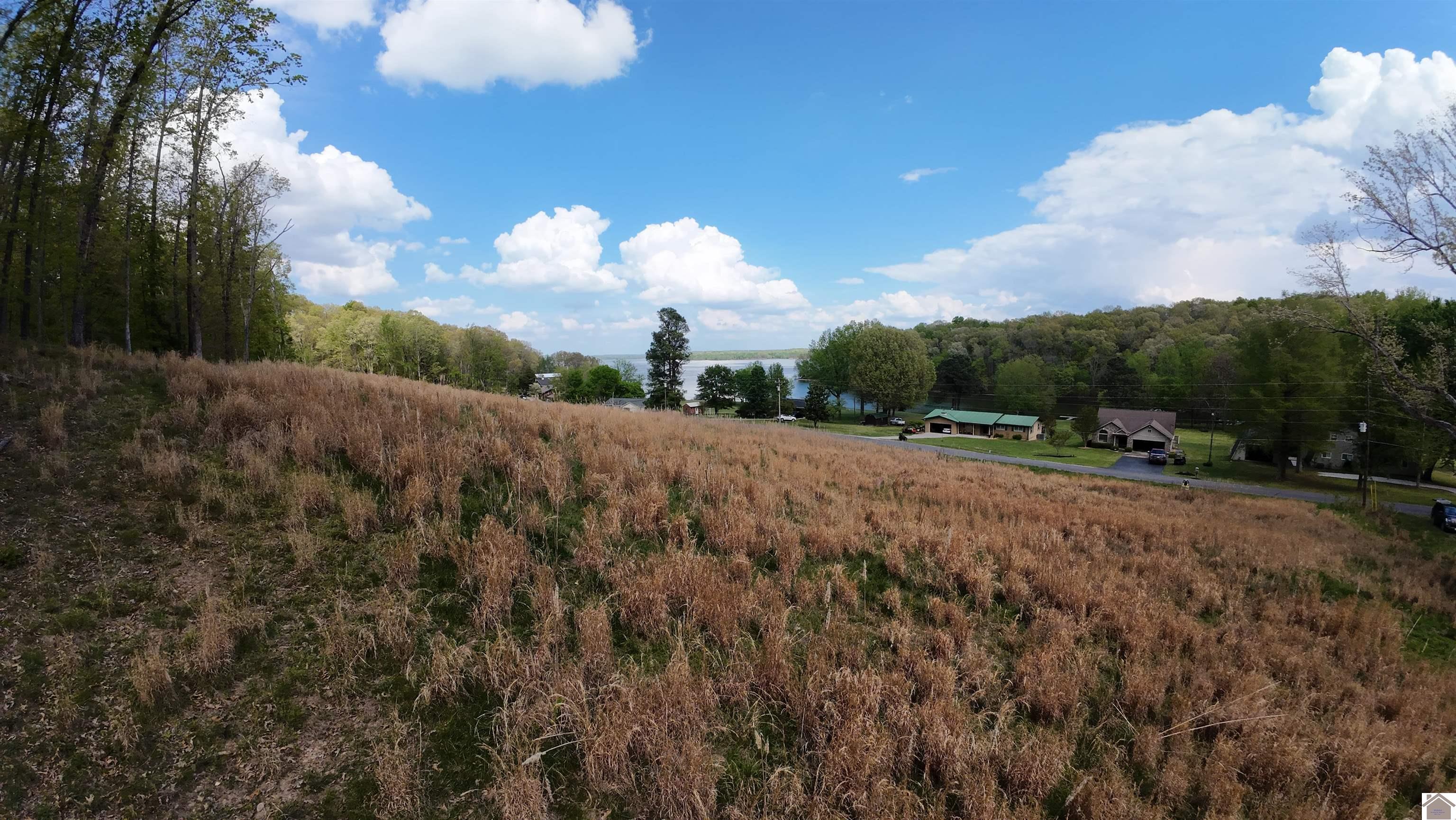 Roy Harris, Kuttawa, KY 42055 Listing Photo  1