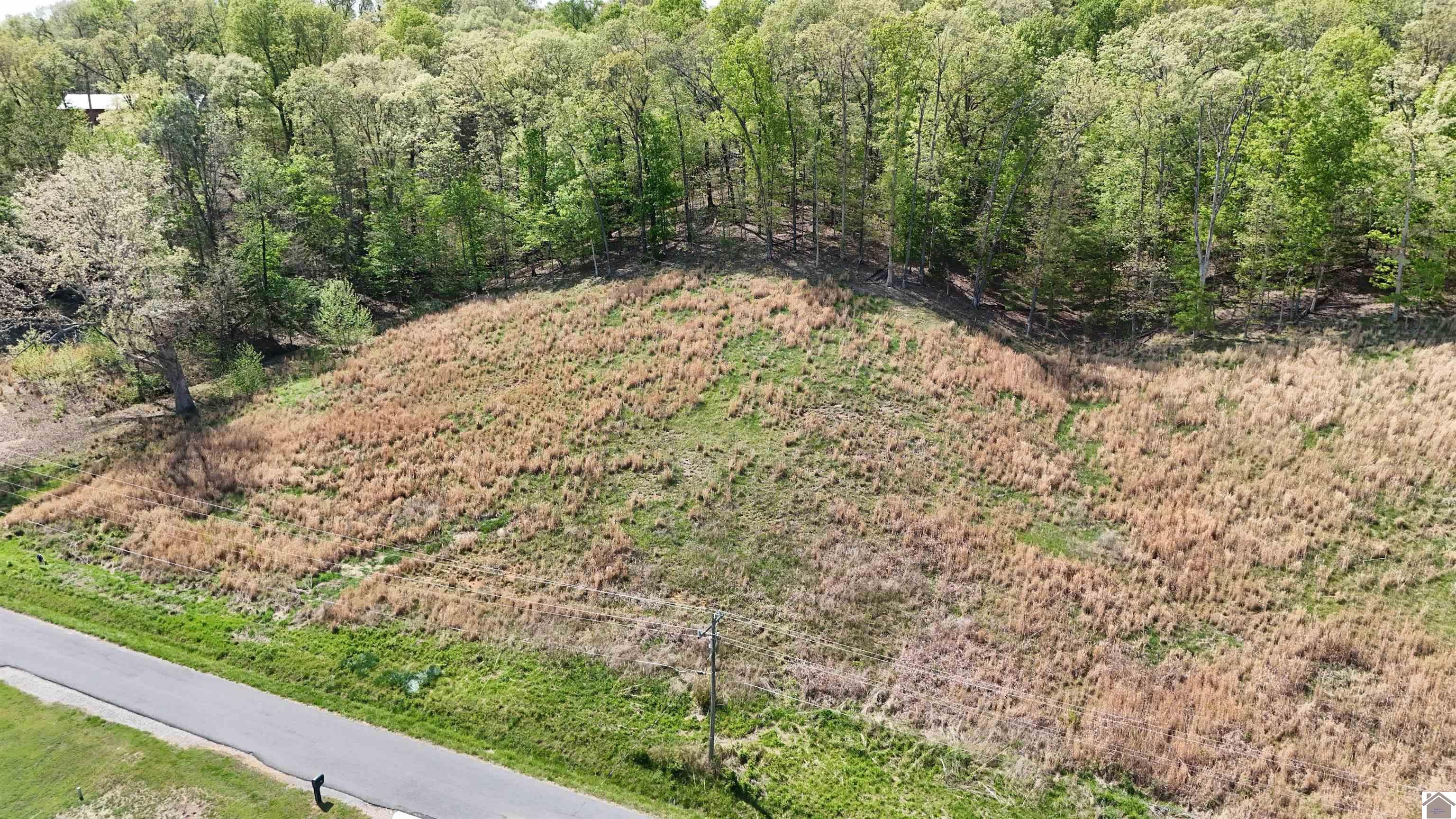 Roy Harris, Kuttawa, KY 42055 Listing Photo  13