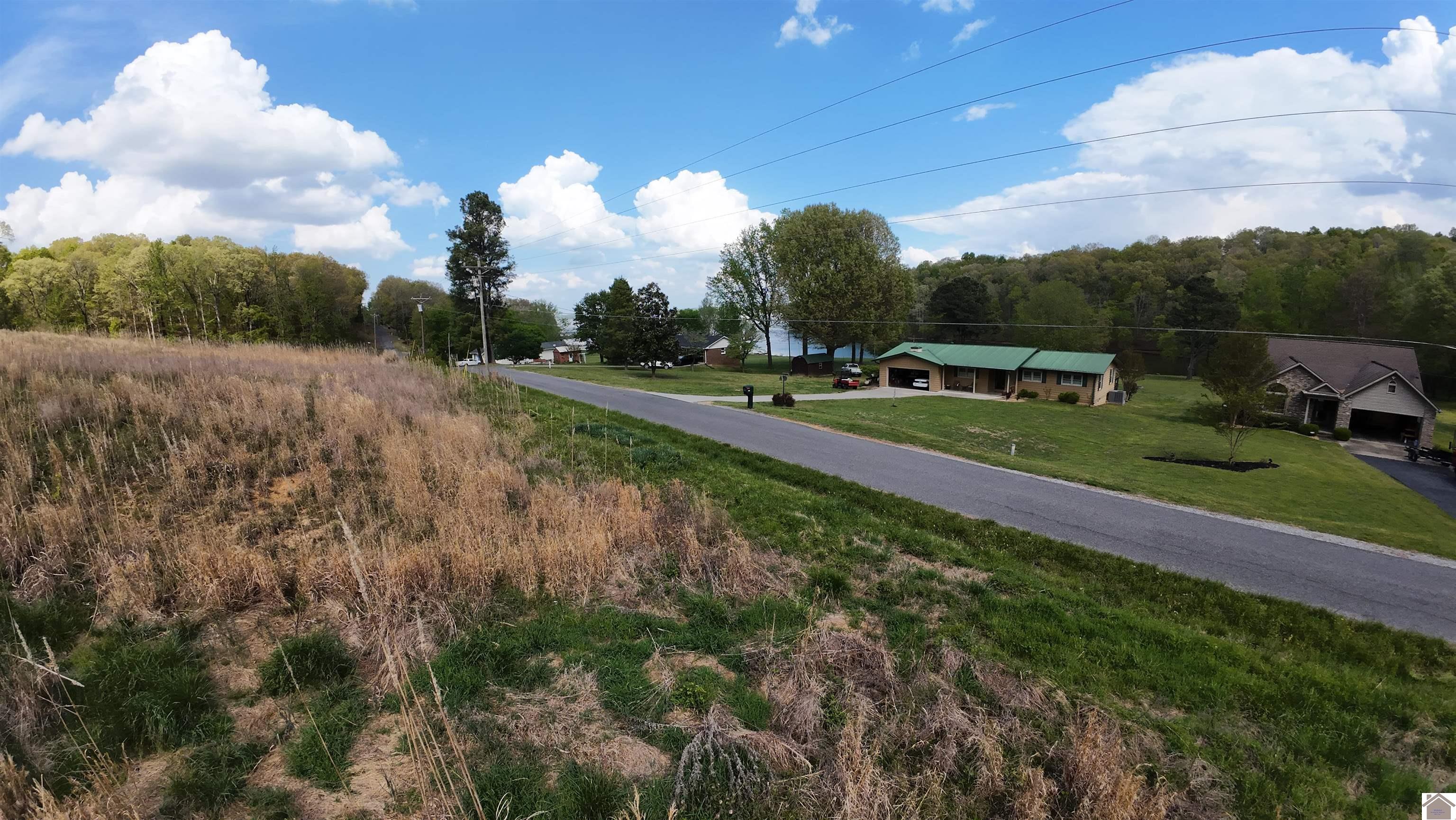 Roy Harris, Kuttawa, KY 42055 Listing Photo  3