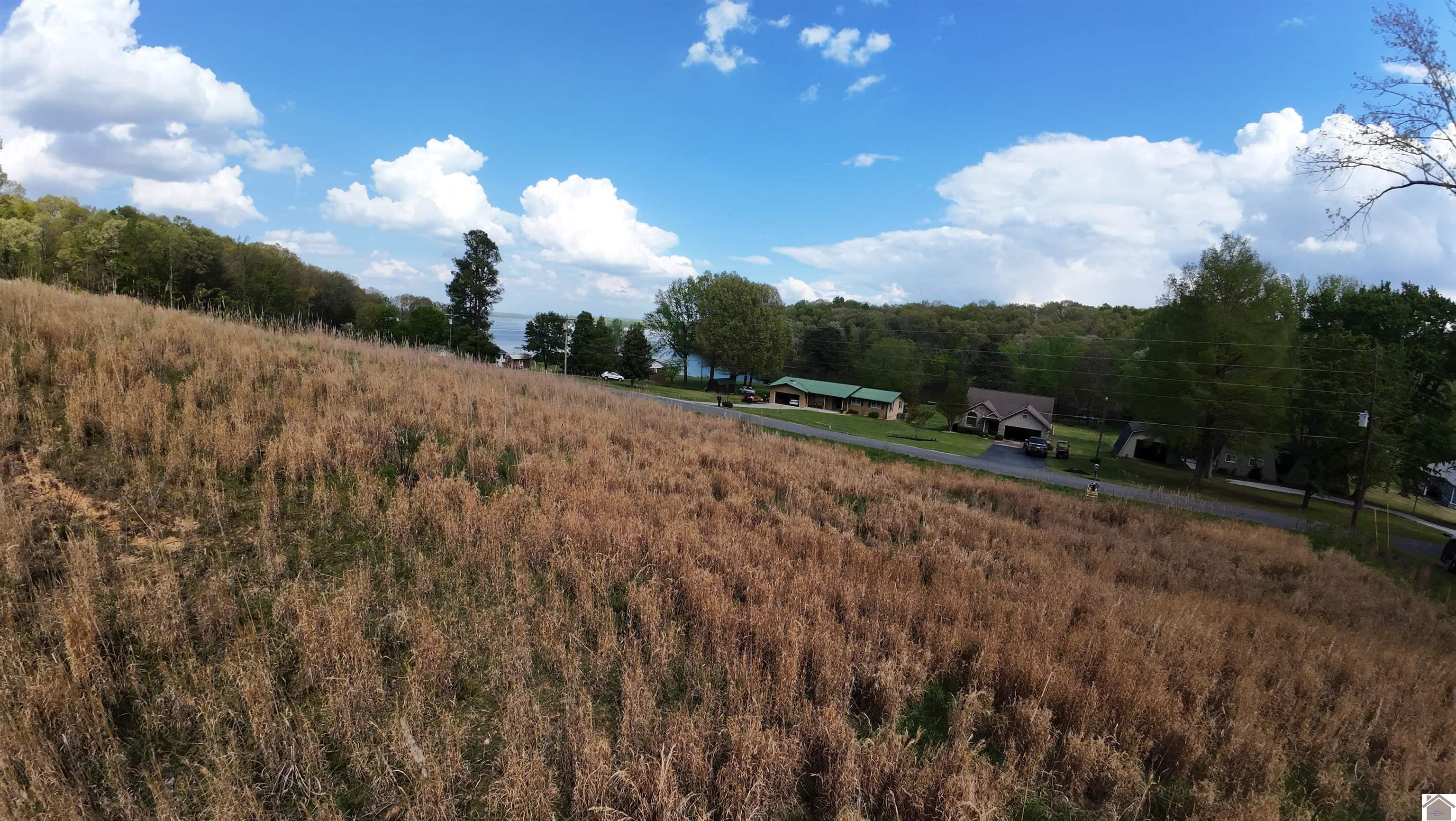 Roy Harris, Kuttawa, KY 42055 Listing Photo  4