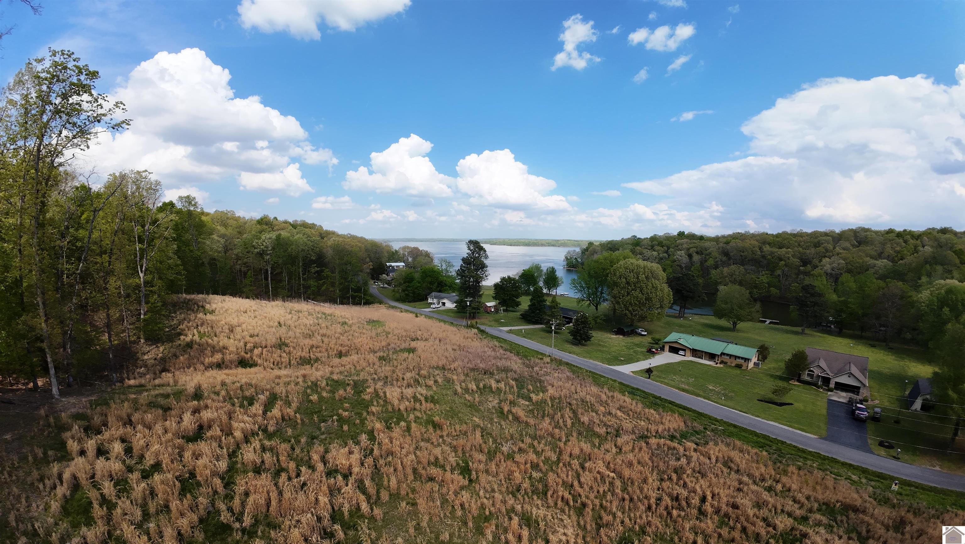 Roy Harris, Kuttawa, KY 42055 Listing Photo  5