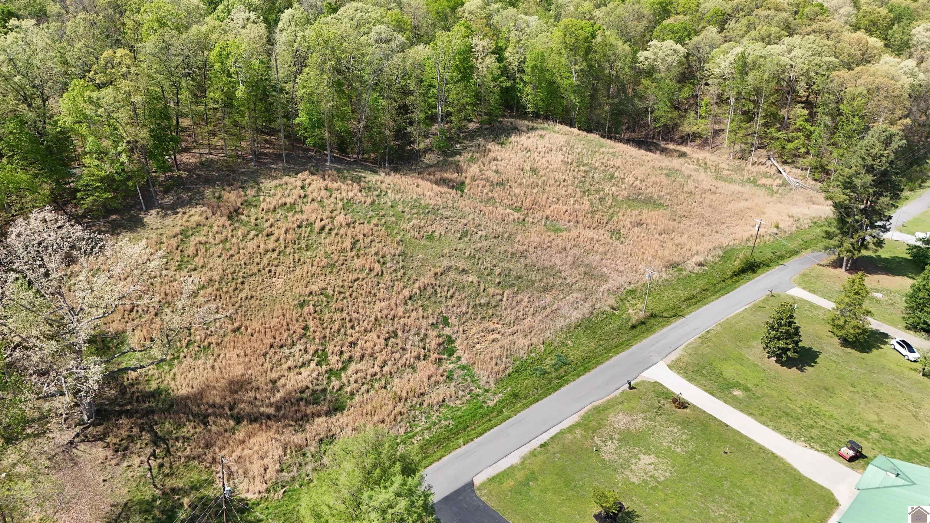 Roy Harris, Kuttawa, KY 42055 Listing Photo  6