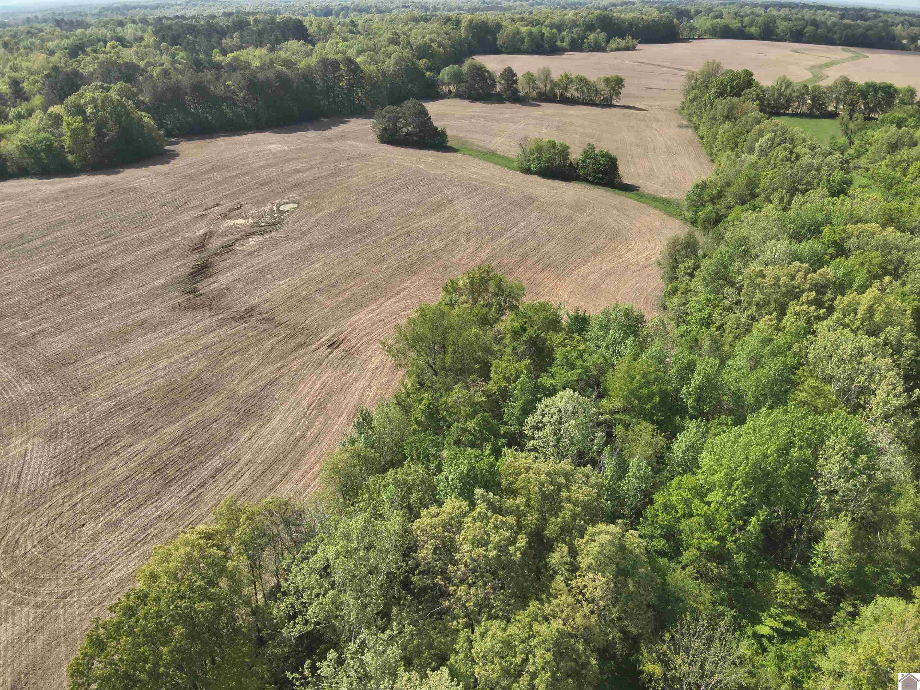 000 Housman Rd, Boaz, KY 42027 Listing Photo  3