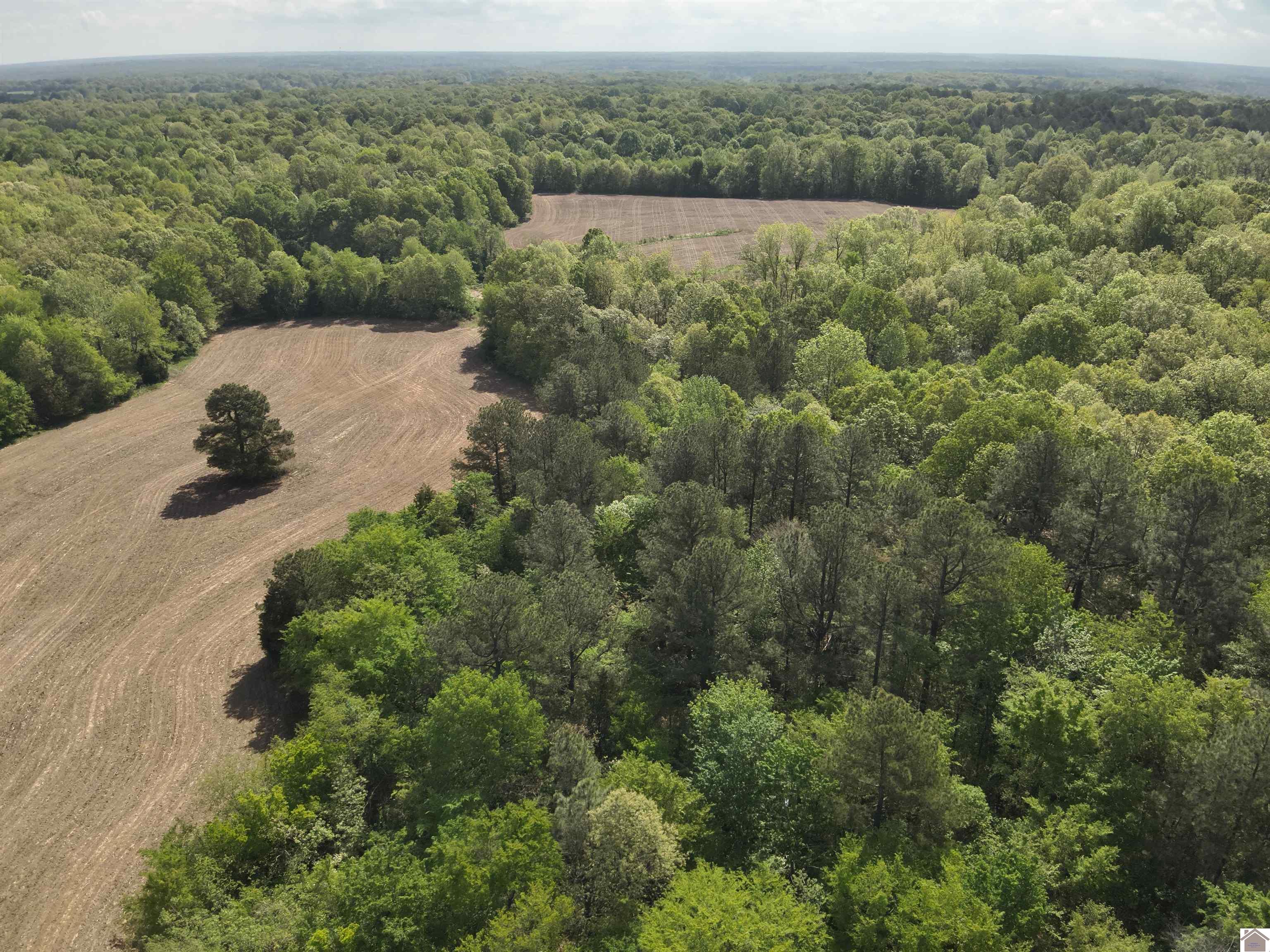 000 Housman Rd, Boaz, KY 42027 Listing Photo  5