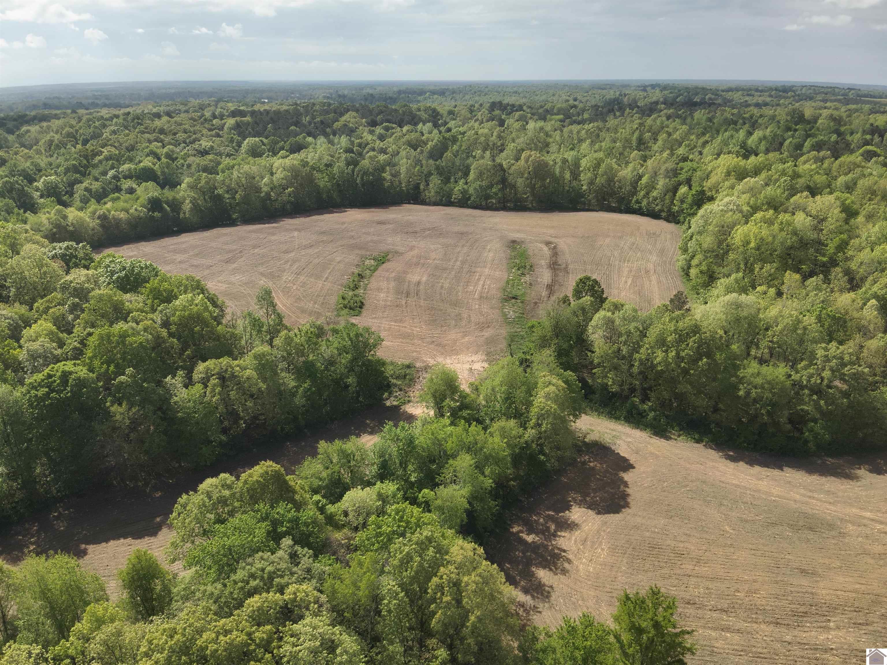 000 Housman Rd, Boaz, KY 42027 Listing Photo  6