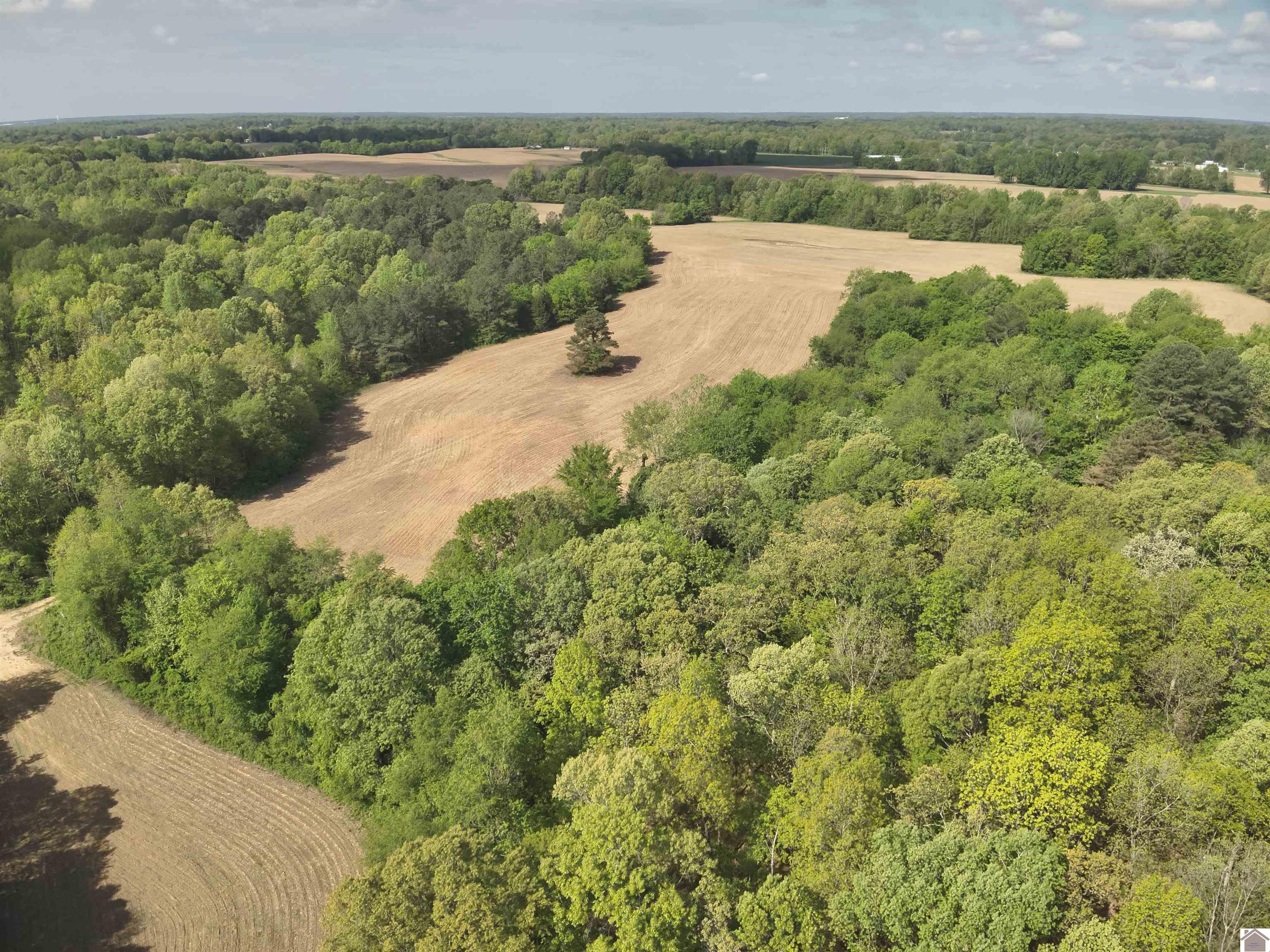 000 Housman Rd, Boaz, KY 42027 Listing Photo  7