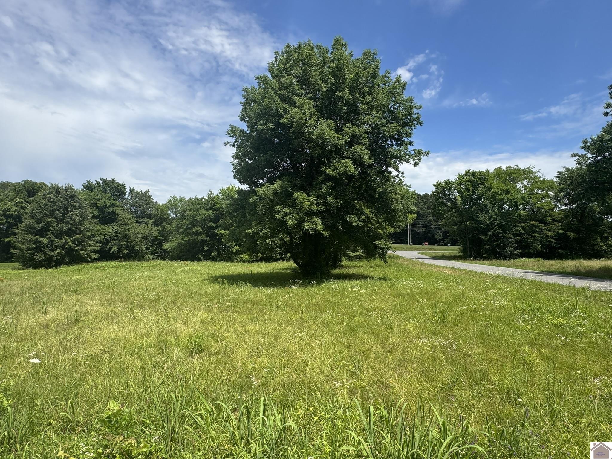 000 Brentwood Dr Unit: Corner of Brentwood Dr & Kentucky Dam Rd