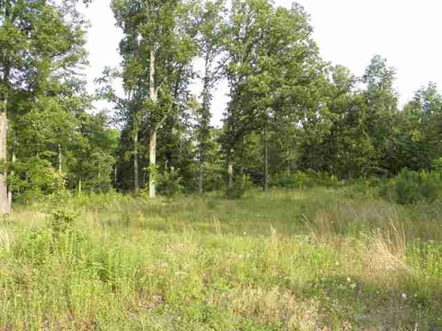 Lot 31 Woodridge Subdivision, Benton, KY 42025 Listing Photo  2