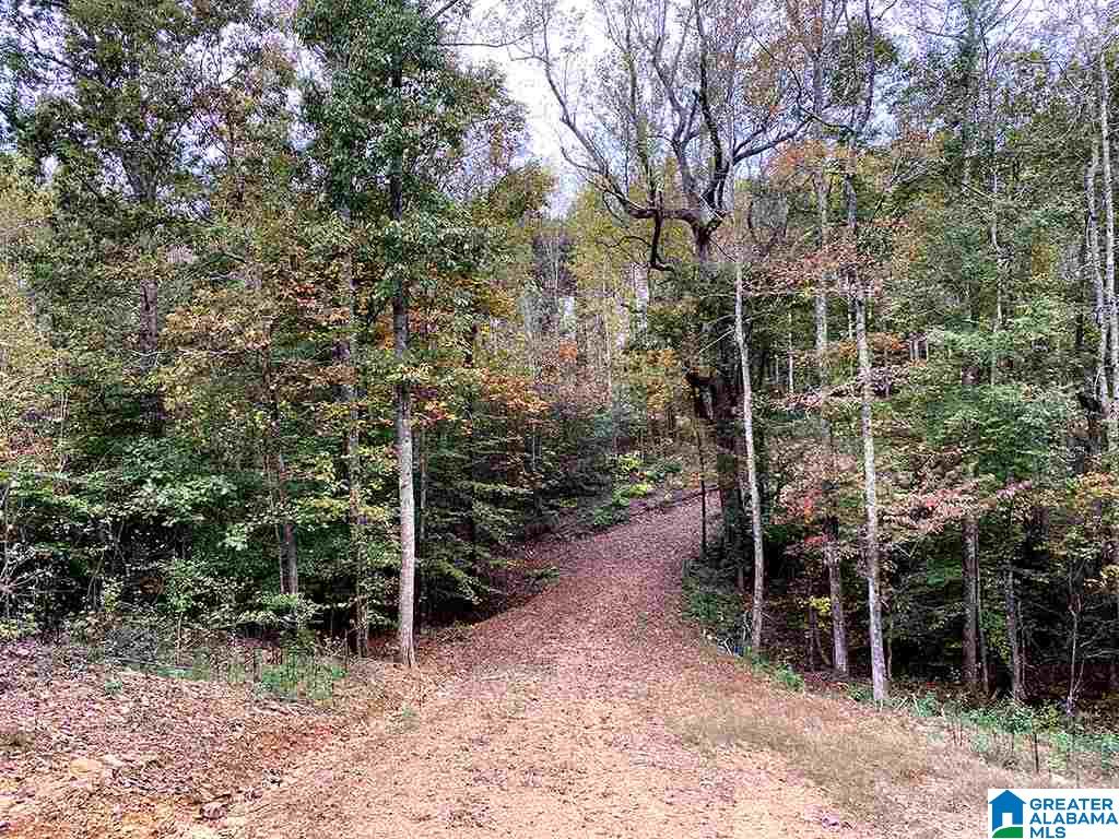 DAVIS GAP ROAD