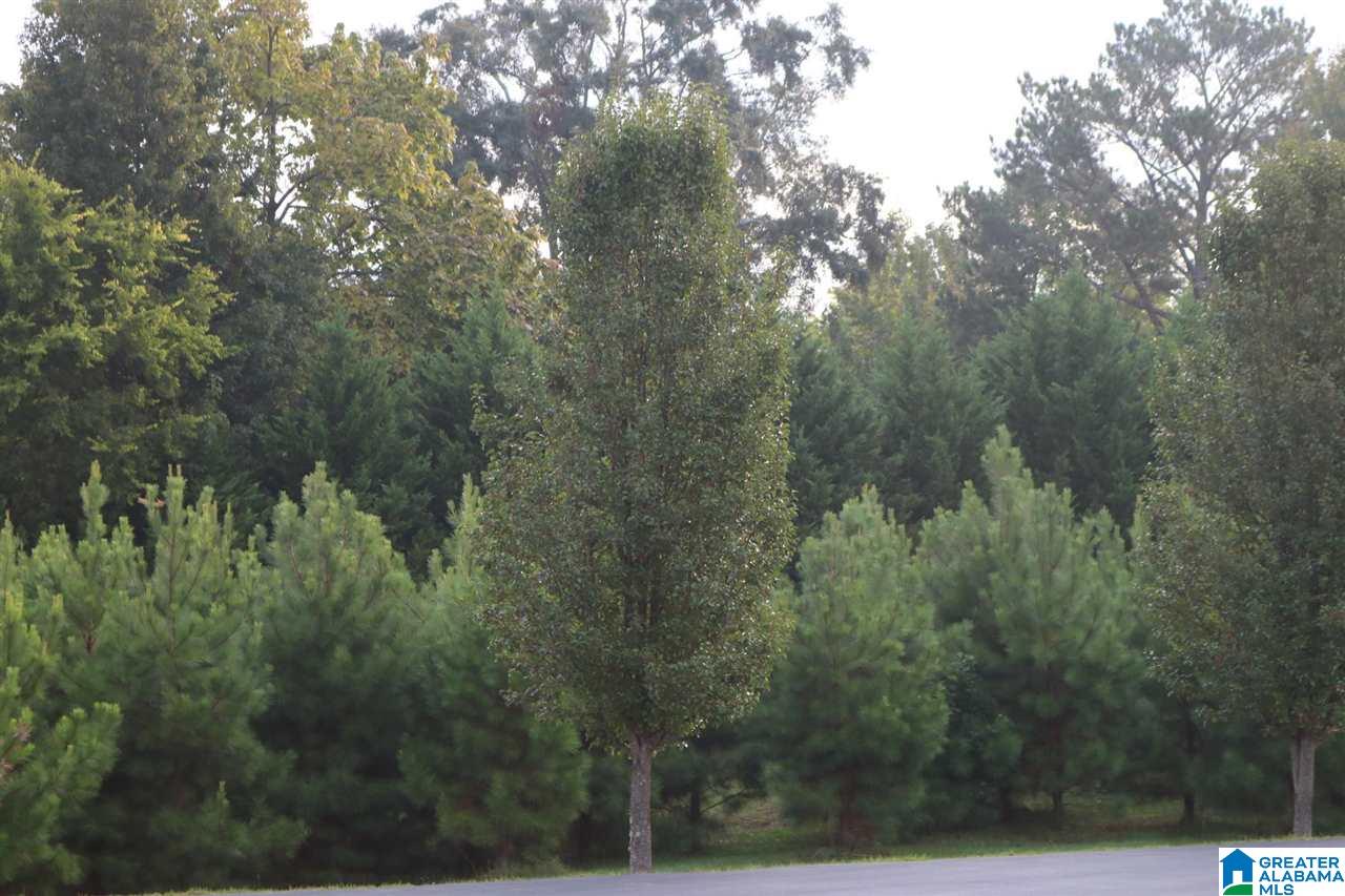 251 PARKVIEW DRIVE