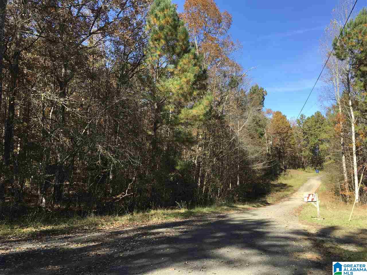 Homes for sale in Ashville, AL | 00007 Springhollow Road, Ashville, AL 35953 | MLS# 1303797