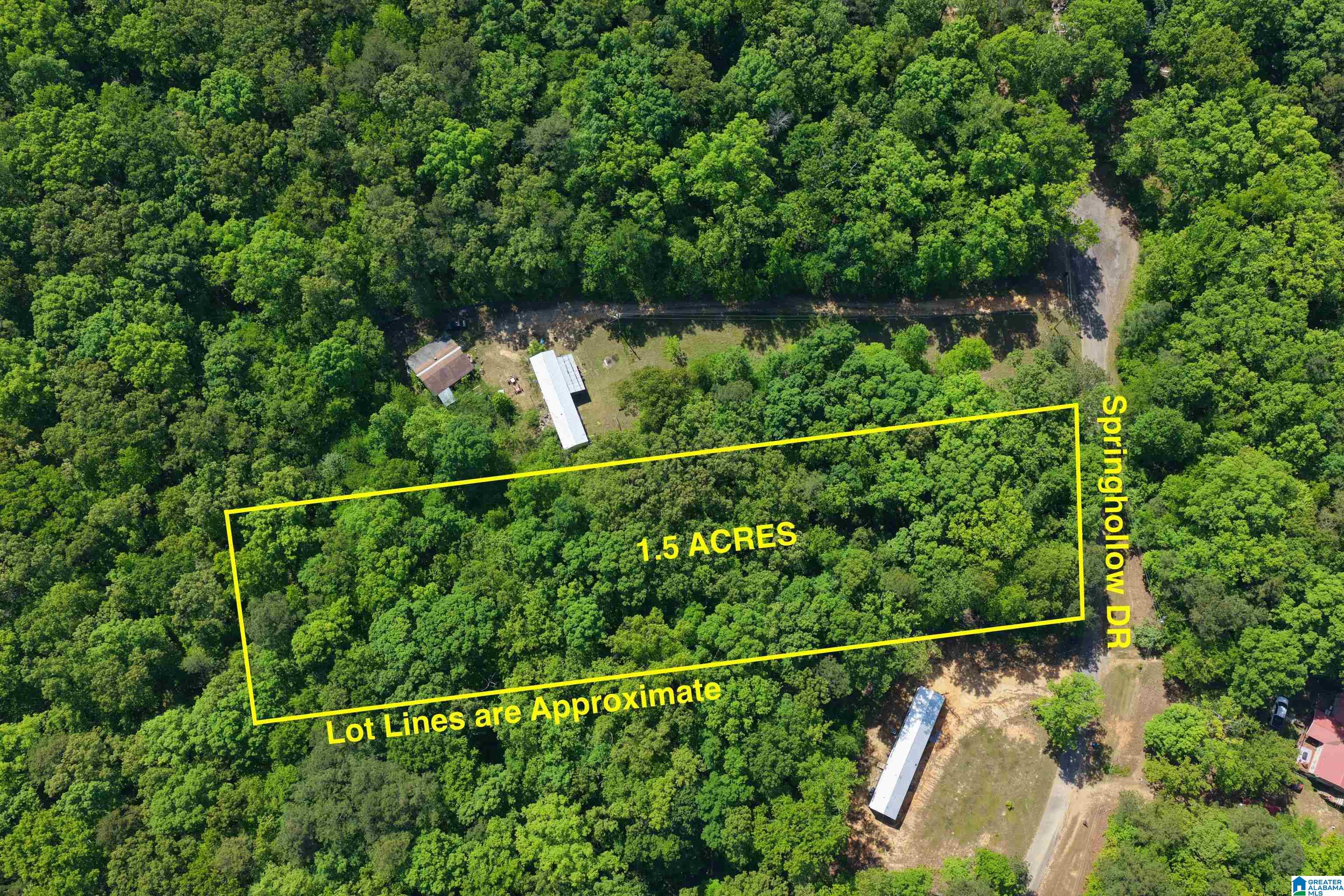 Homes for sale in Ashville, AL | 000 Springhollow Road, Ashville, AL 35953 | MLS# 1303846