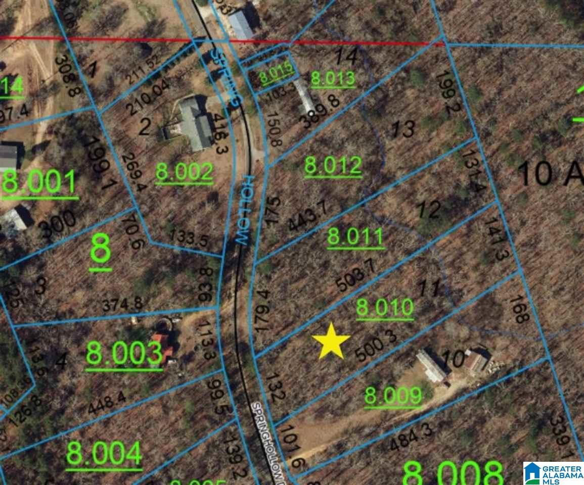 Homes for sale in Ashville, AL | 000 Springhollow Road, Ashville, AL 35953 | MLS# 1303846