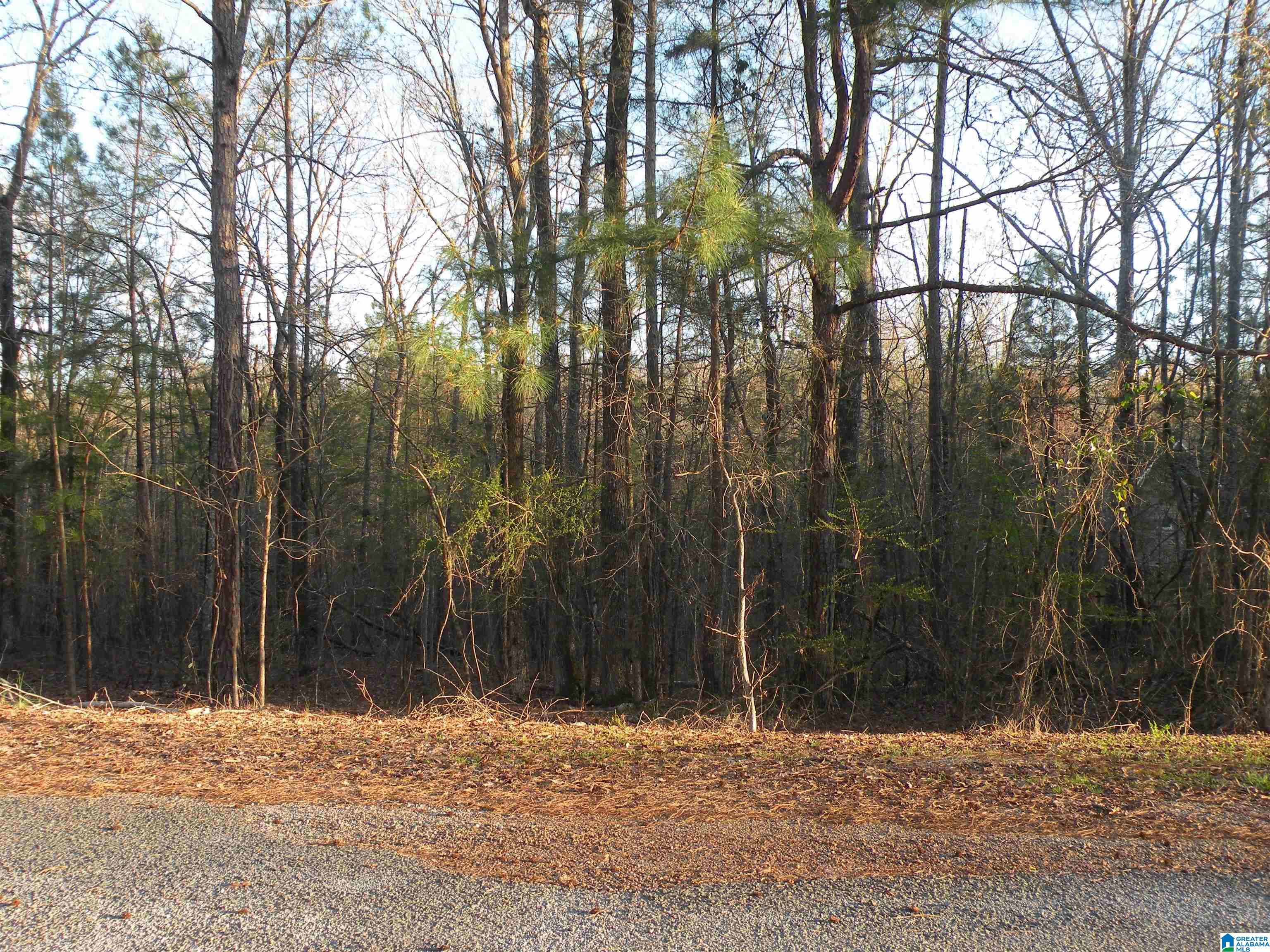0 BILLINGSLEY DRIVE