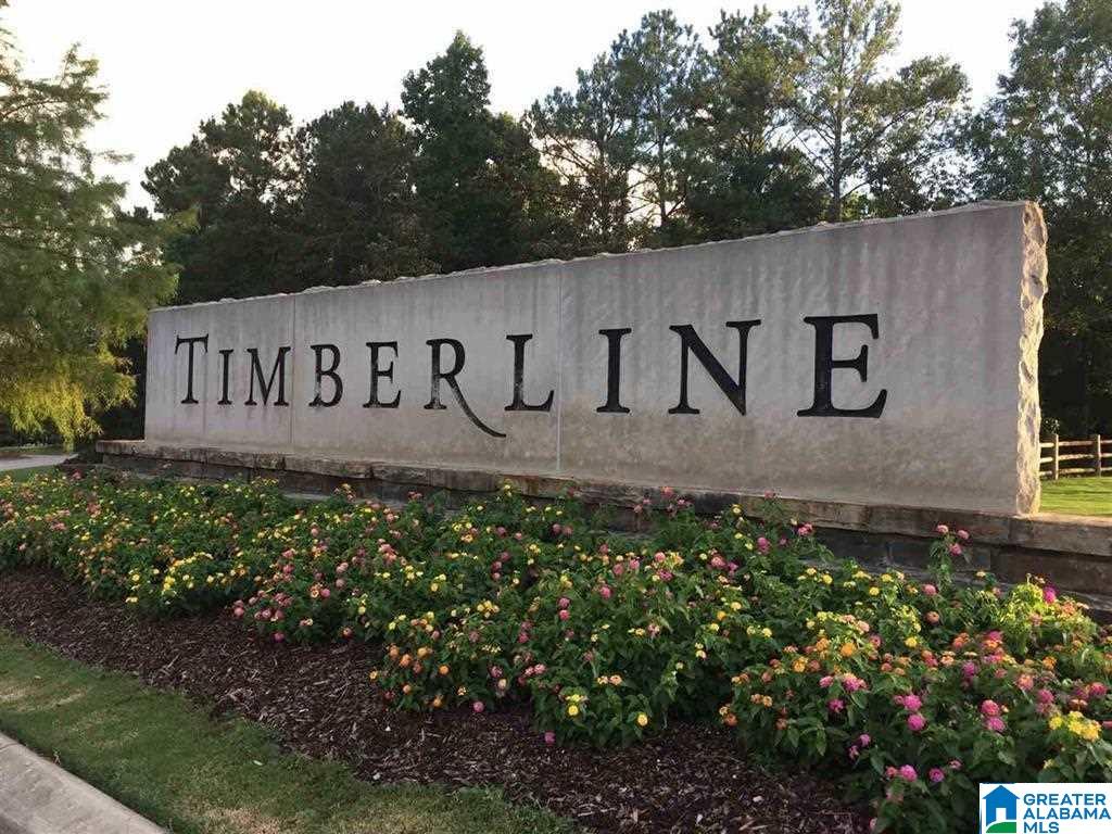 601 TIMBERLINE TRAIL