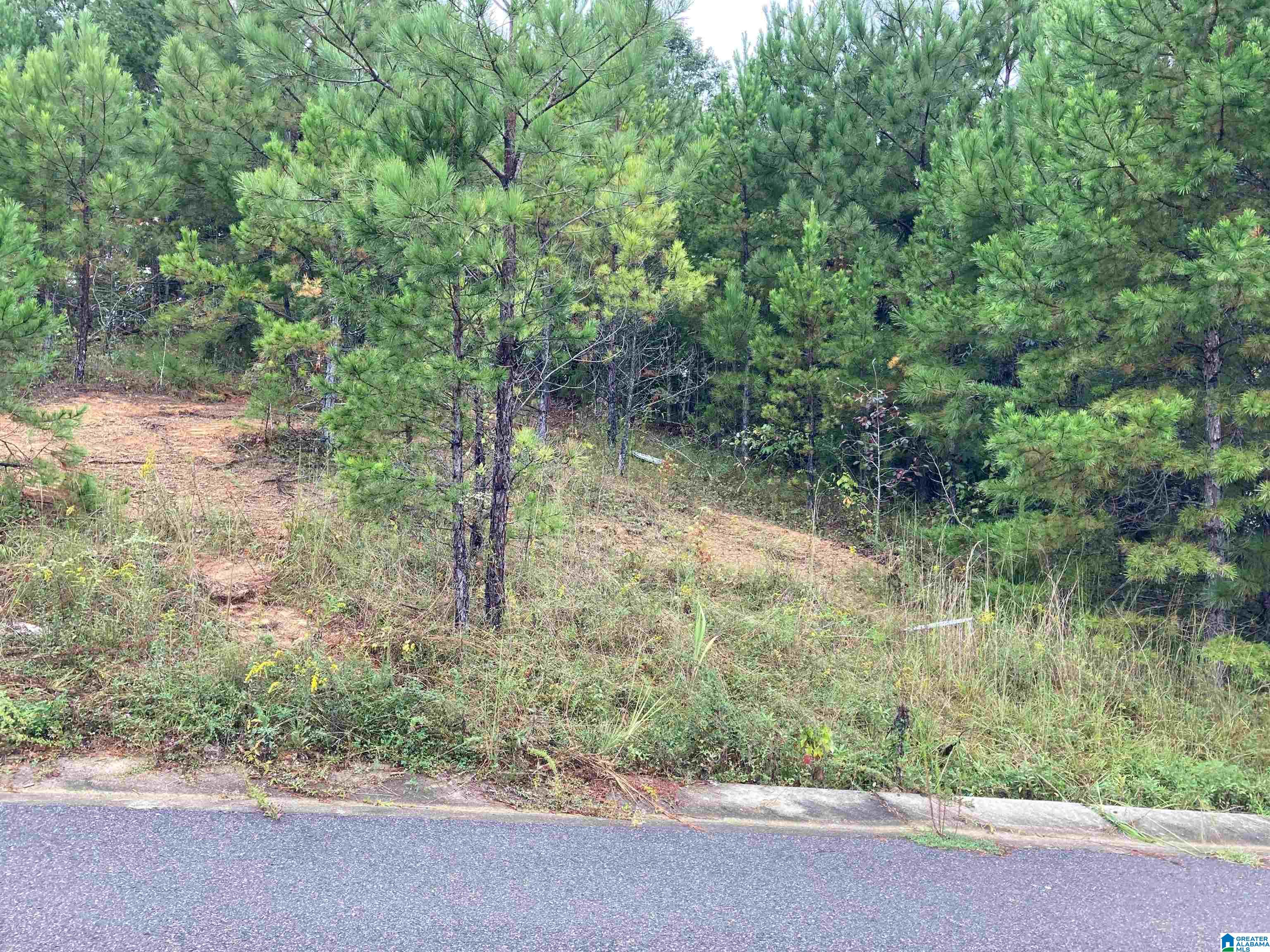 1119 SPRINGHILL LANE