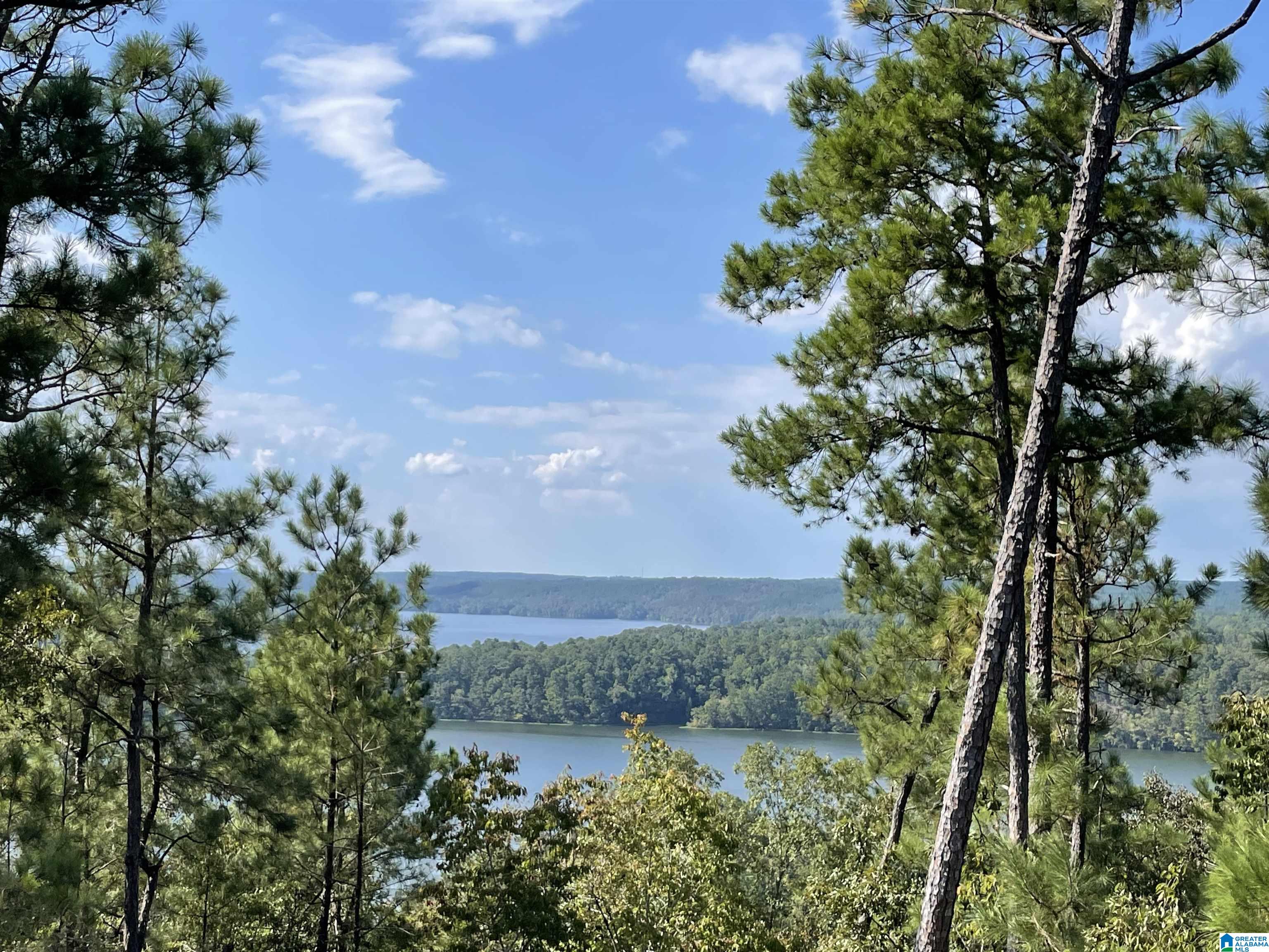 0 EAGLE MOUNTAIN ROAD