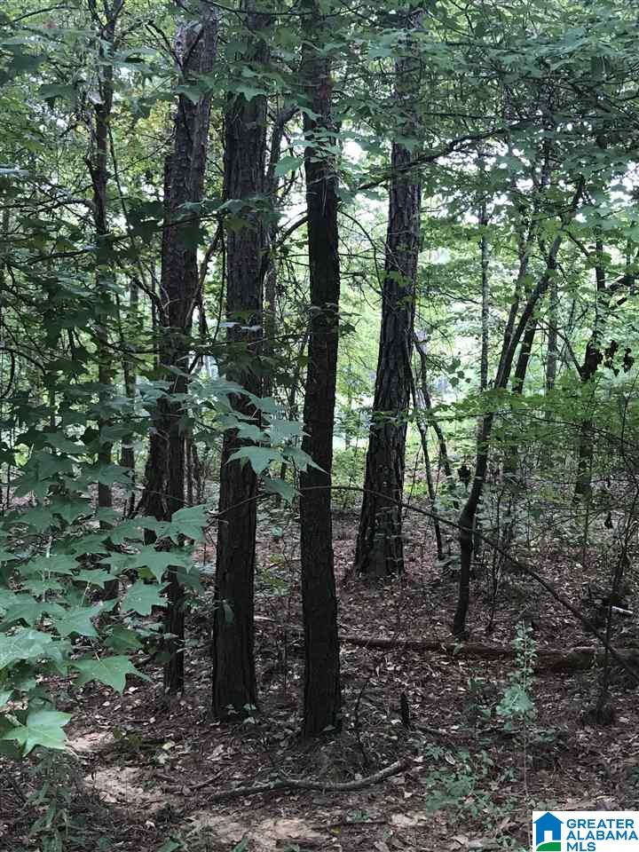 LAKESIDE LANE