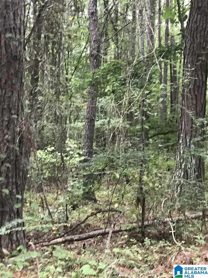 S LAKESIDE LANE