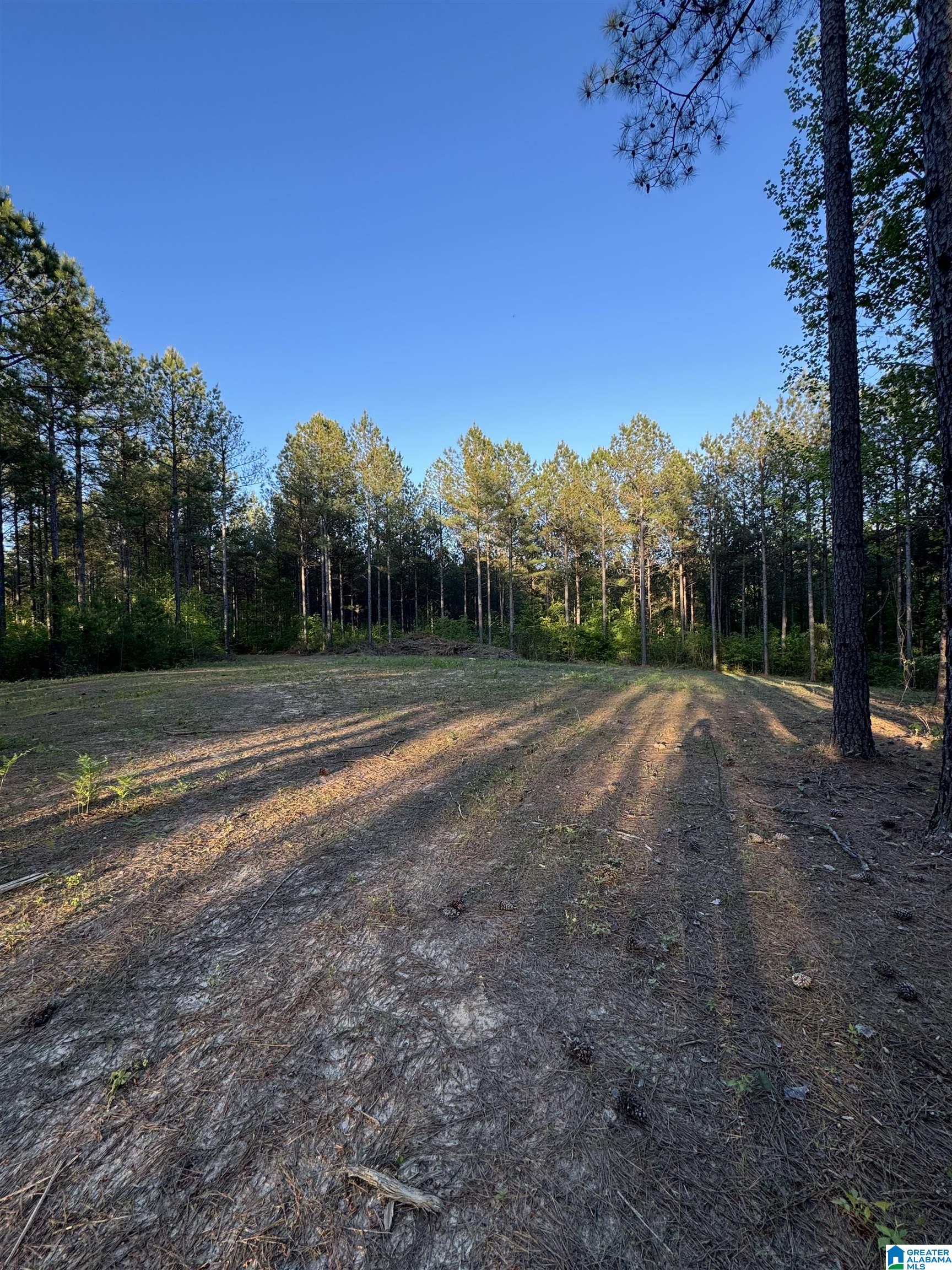 218 FOXTAIL PATH