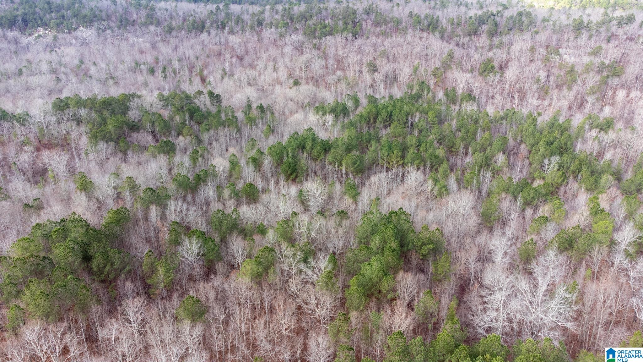 0 COOK SPRINGS ROAD