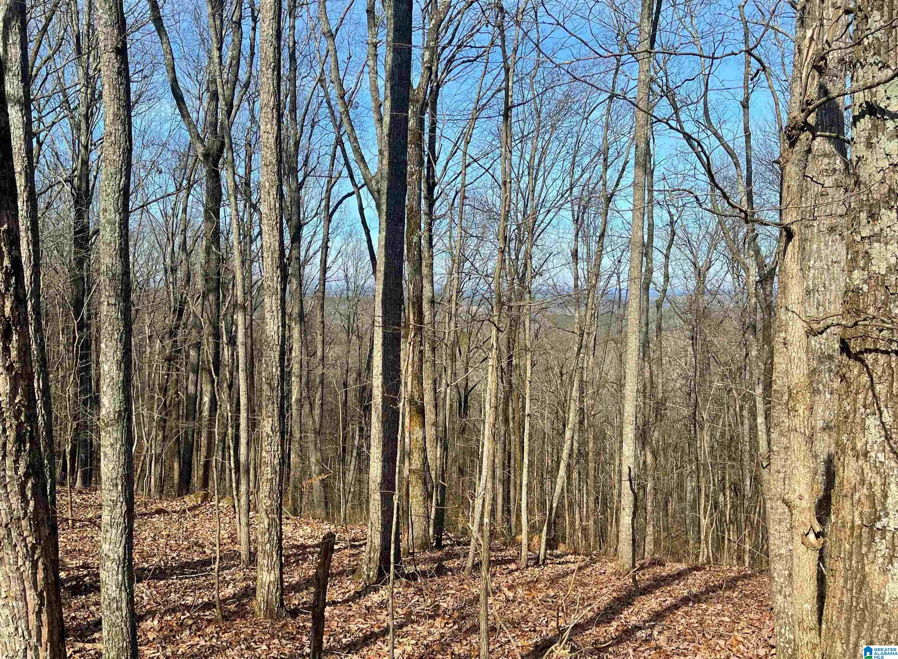 0 COUNTY ROAD 852