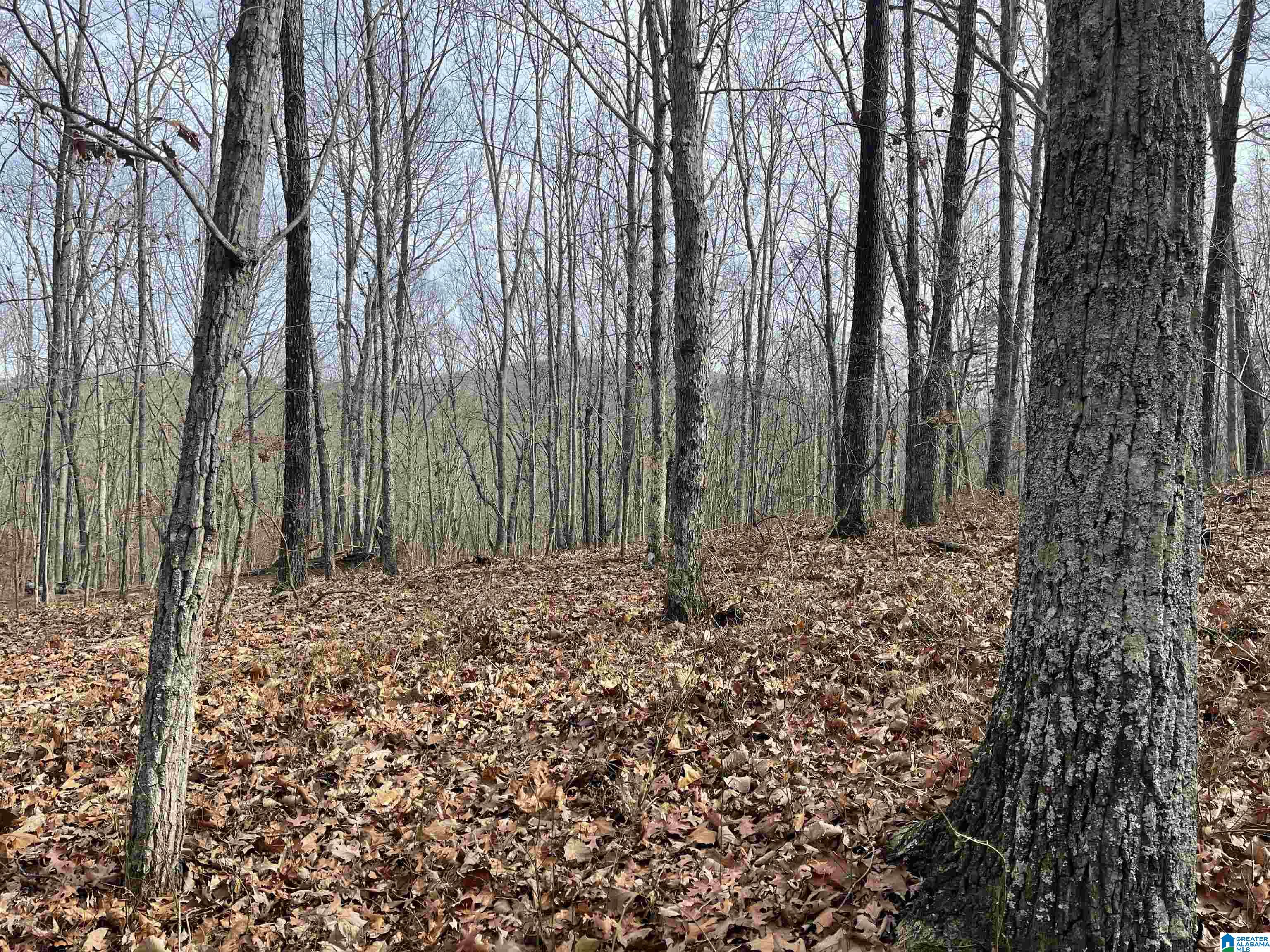 0 COUNTY ROAD 852