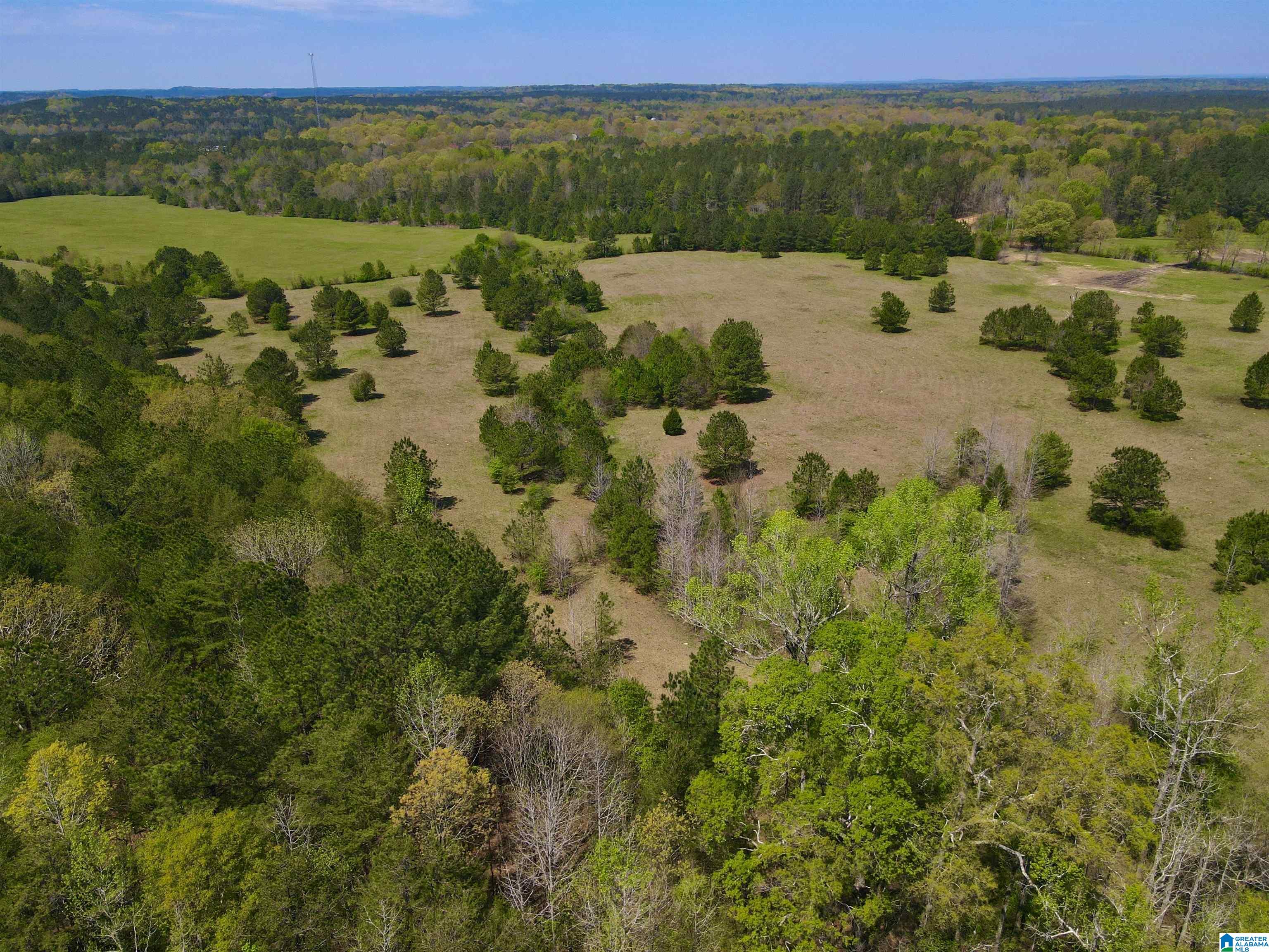 Photo 1 of Sale Pending at 0 Hwy 145, Shelby, AL 35143 | MLS# 21387042 | Listing updated on 2026-02-17
