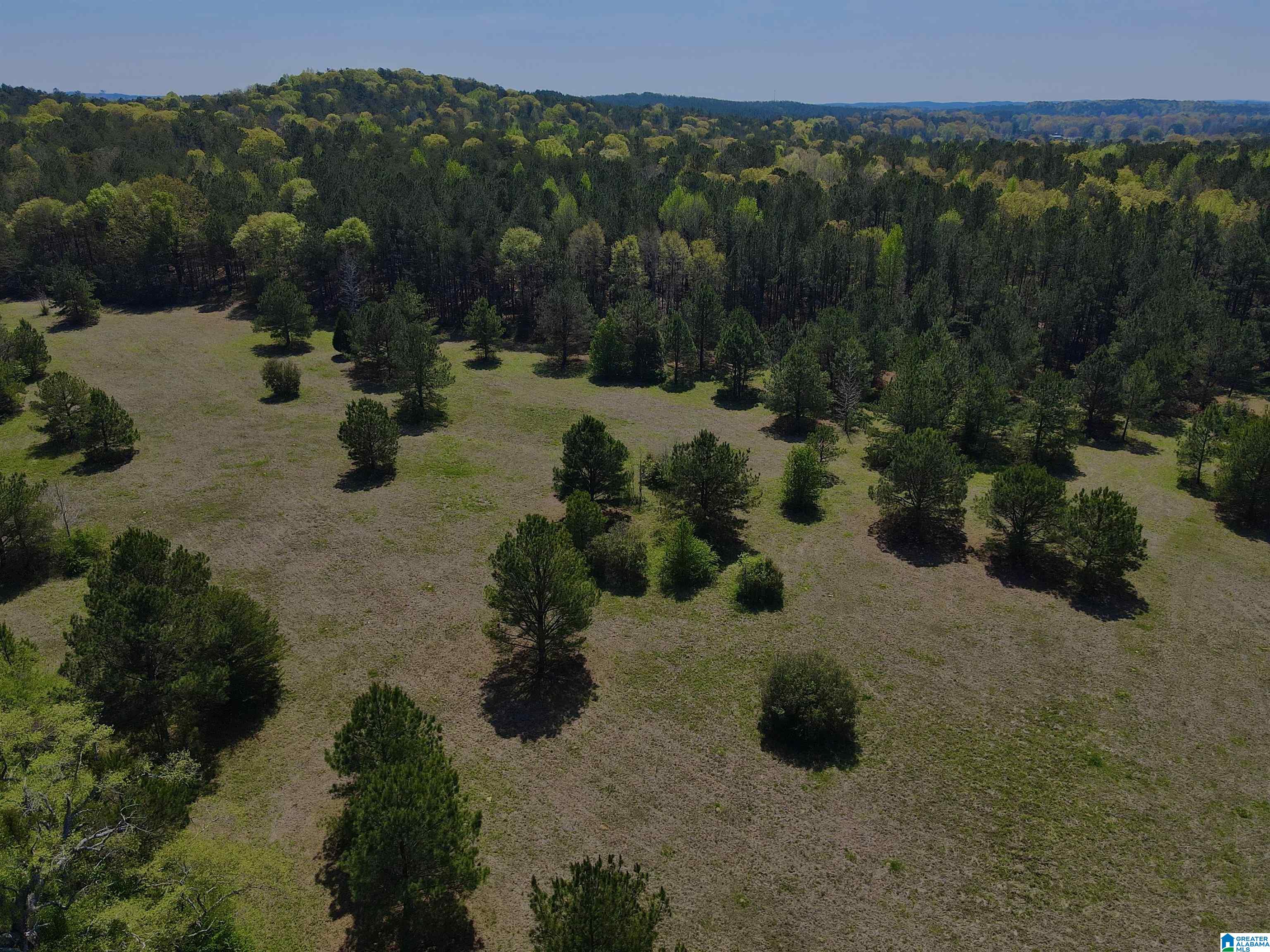 Photo 3 of Sale Pending at 0 Hwy 145, Shelby, AL 35143 | MLS# 21387042 | Listing updated on 2026-02-17