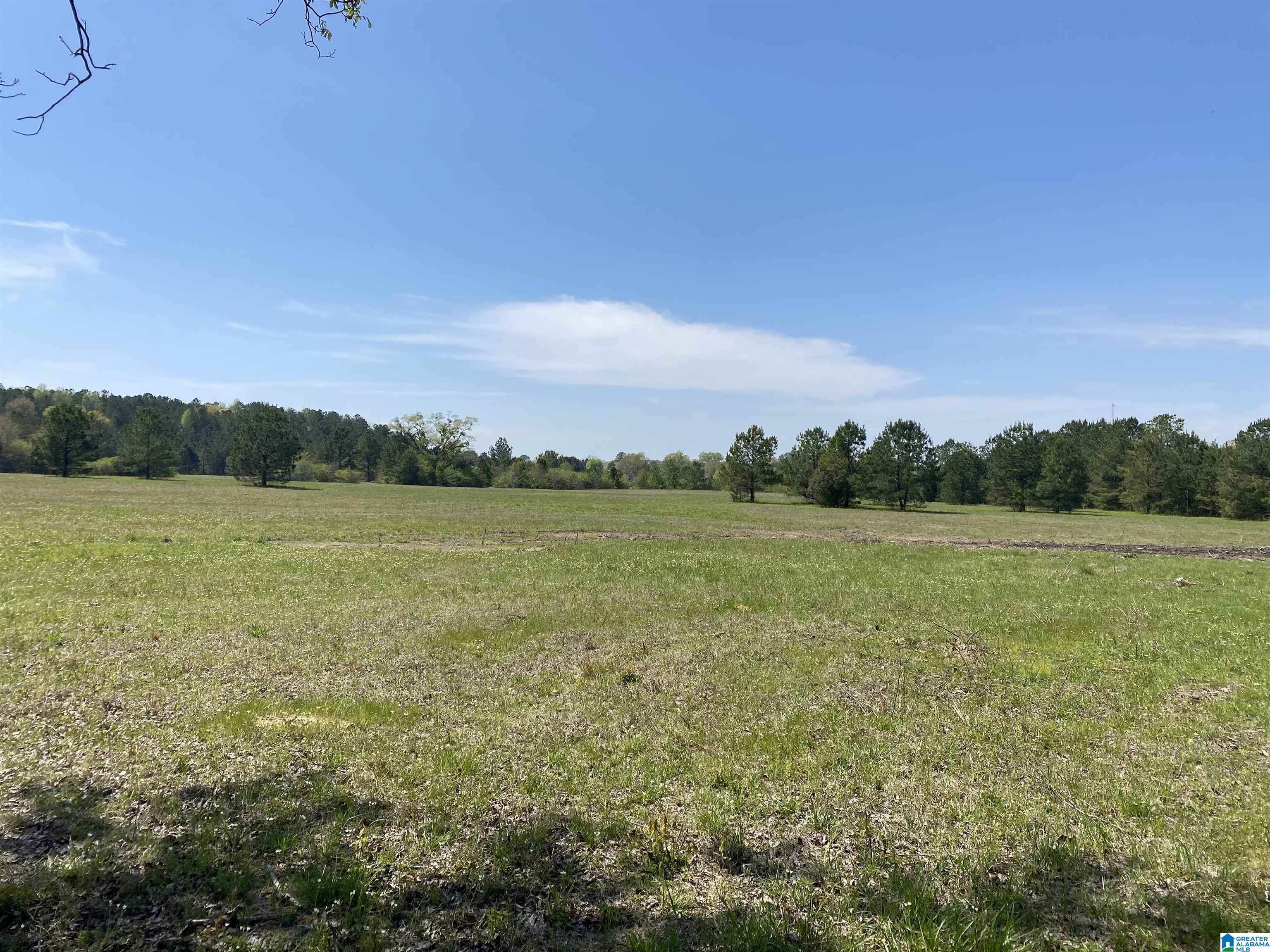 Photo 3 of Sale Pending at 0 Hwy 145, Shelby, AL 35143 | MLS# 21387042 | Listing updated on 2026-02-17