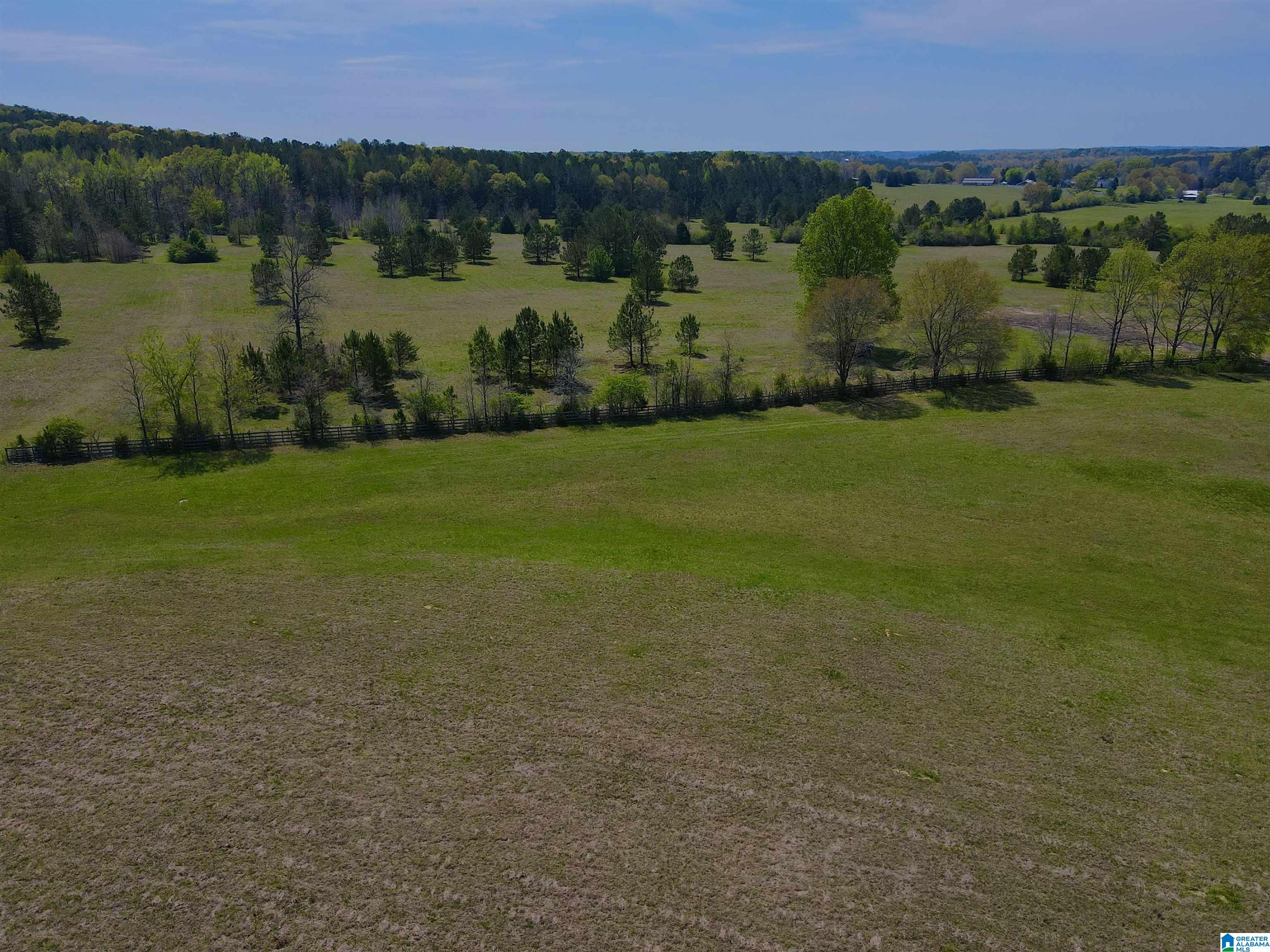 Photo 4 of Sale Pending at 0 Hwy 145, Shelby, AL 35143 | MLS# 21387042 | Listing updated on 2026-02-17