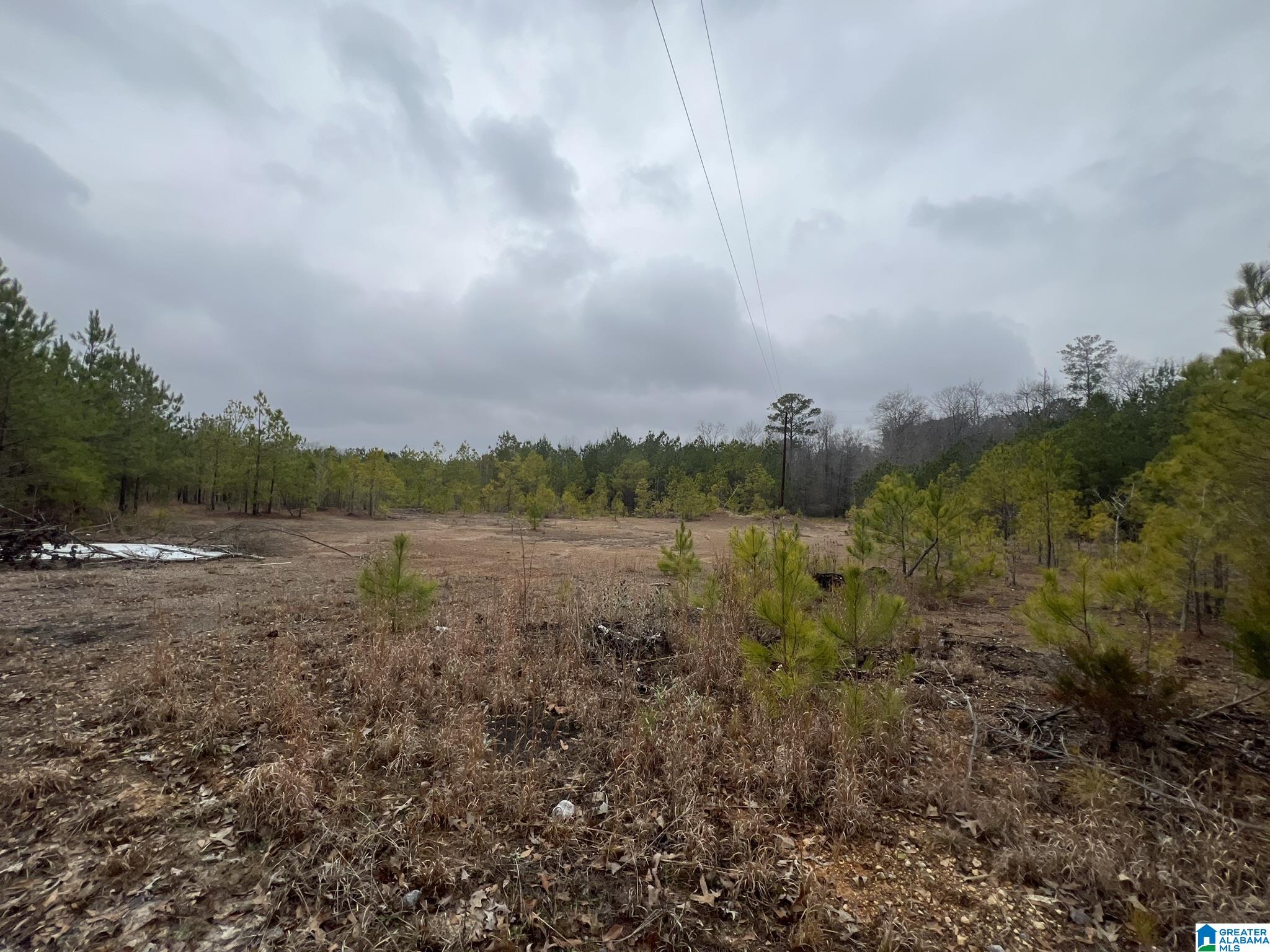 0 CLEARBROOK LANE