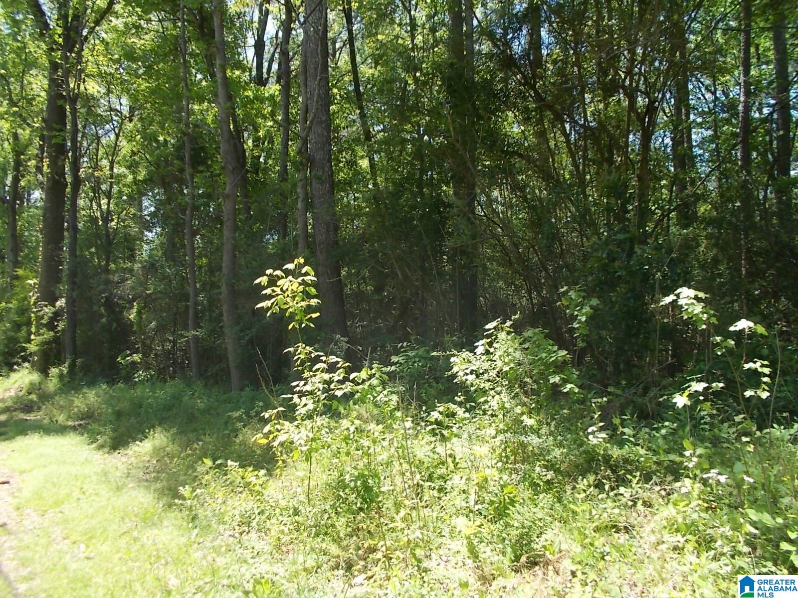 Homes for sale in Graysville, AL | 4858 Lynndale Road, Graysville, AL 35073 | MLS# 21388169